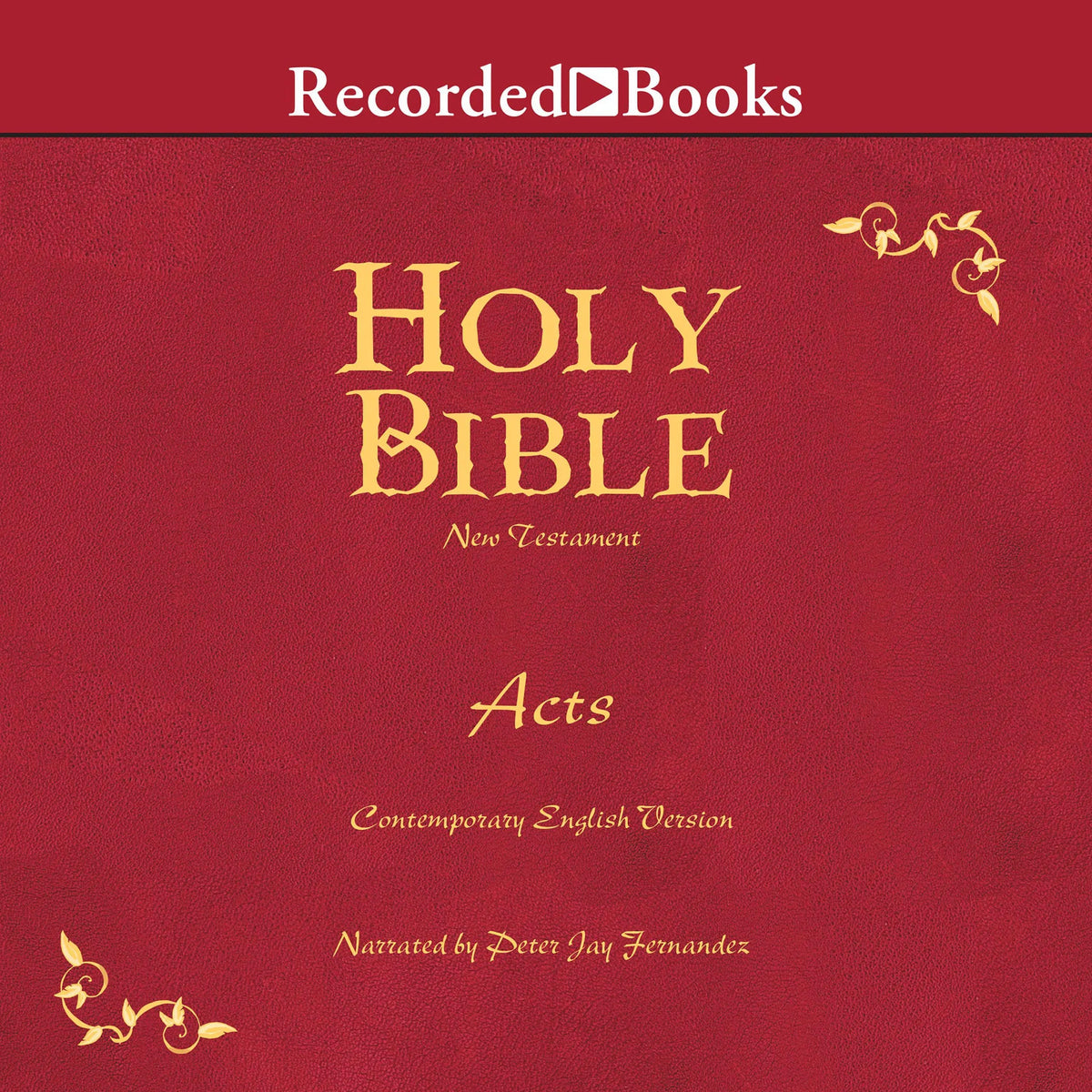 Holy Bible Acts