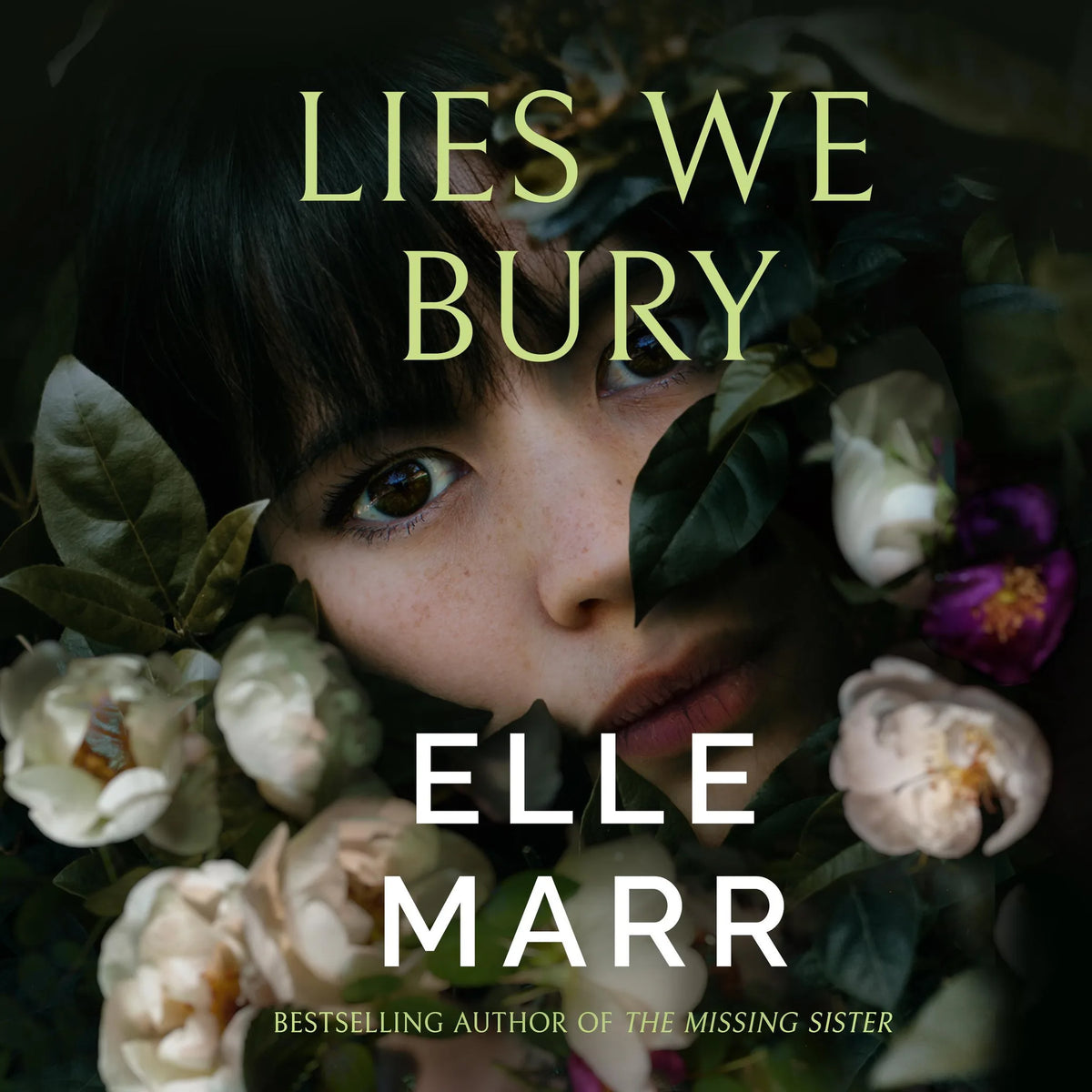 Lies We Bury