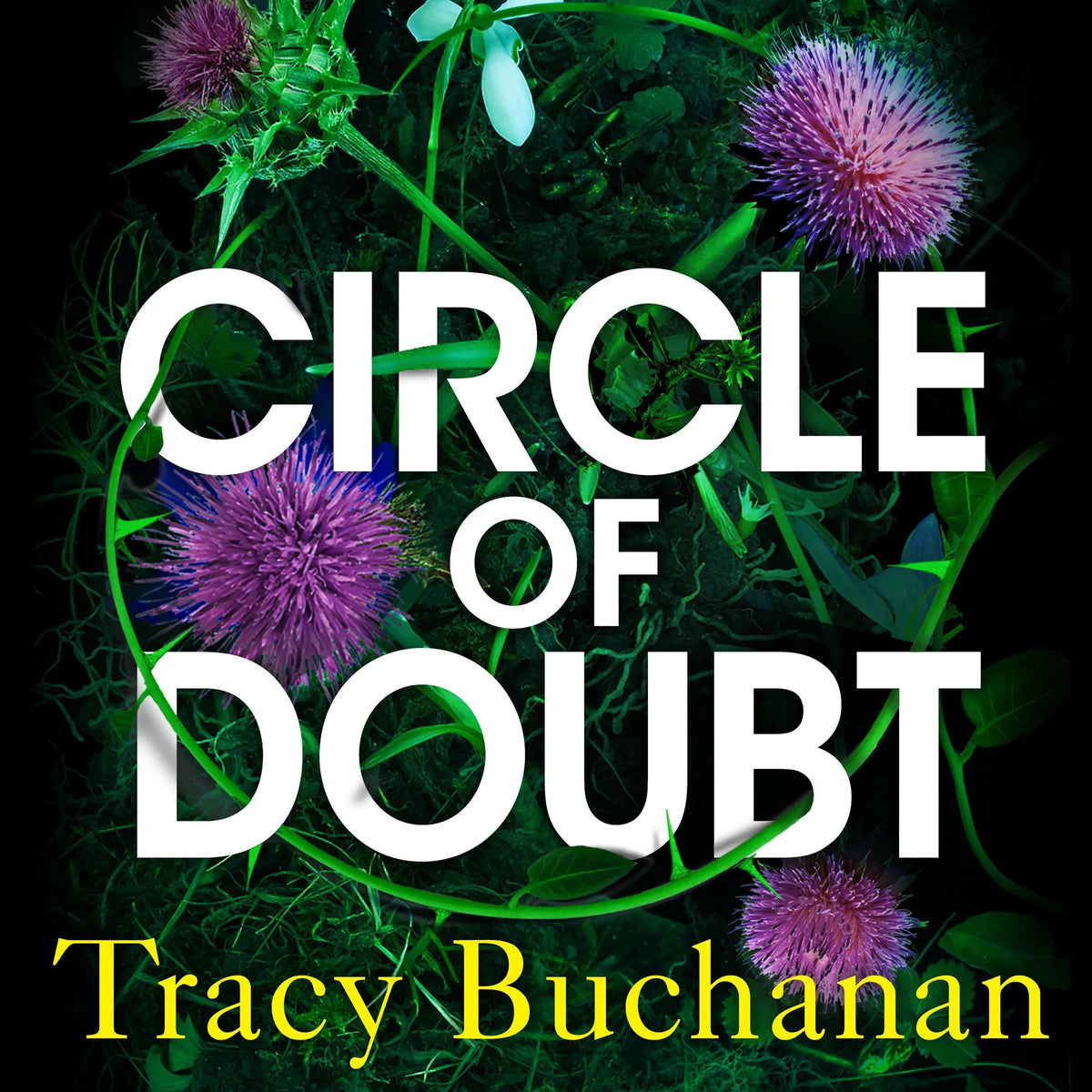 Circle of Doubt