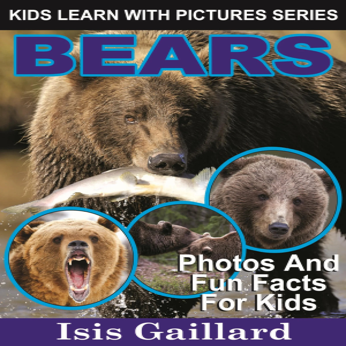 Bears
