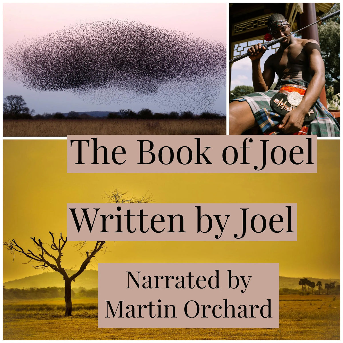 The Book of Joel - The Holy Bible King James Version