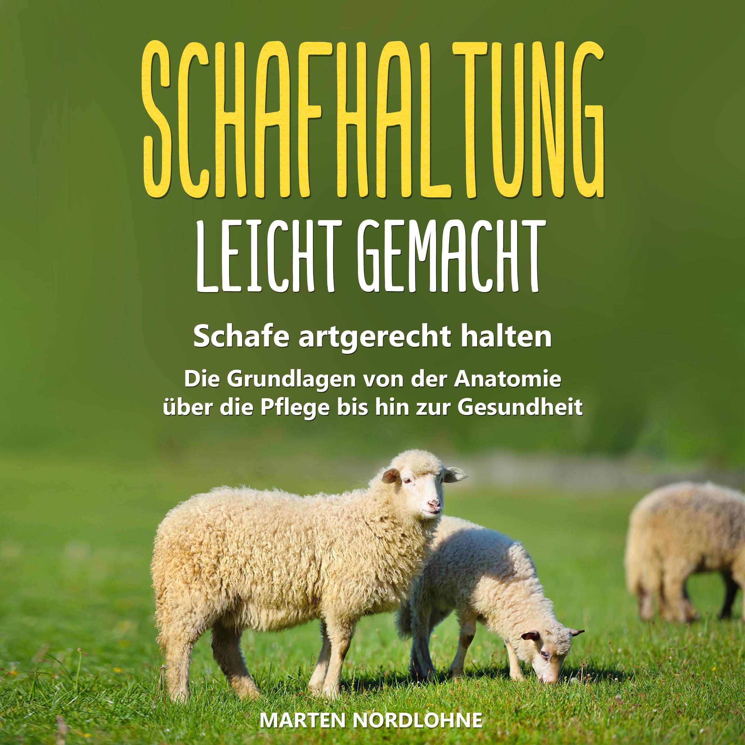 Schafhaltung leicht gemacht