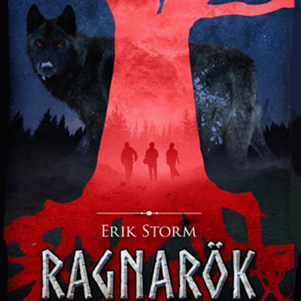 Erik Storm