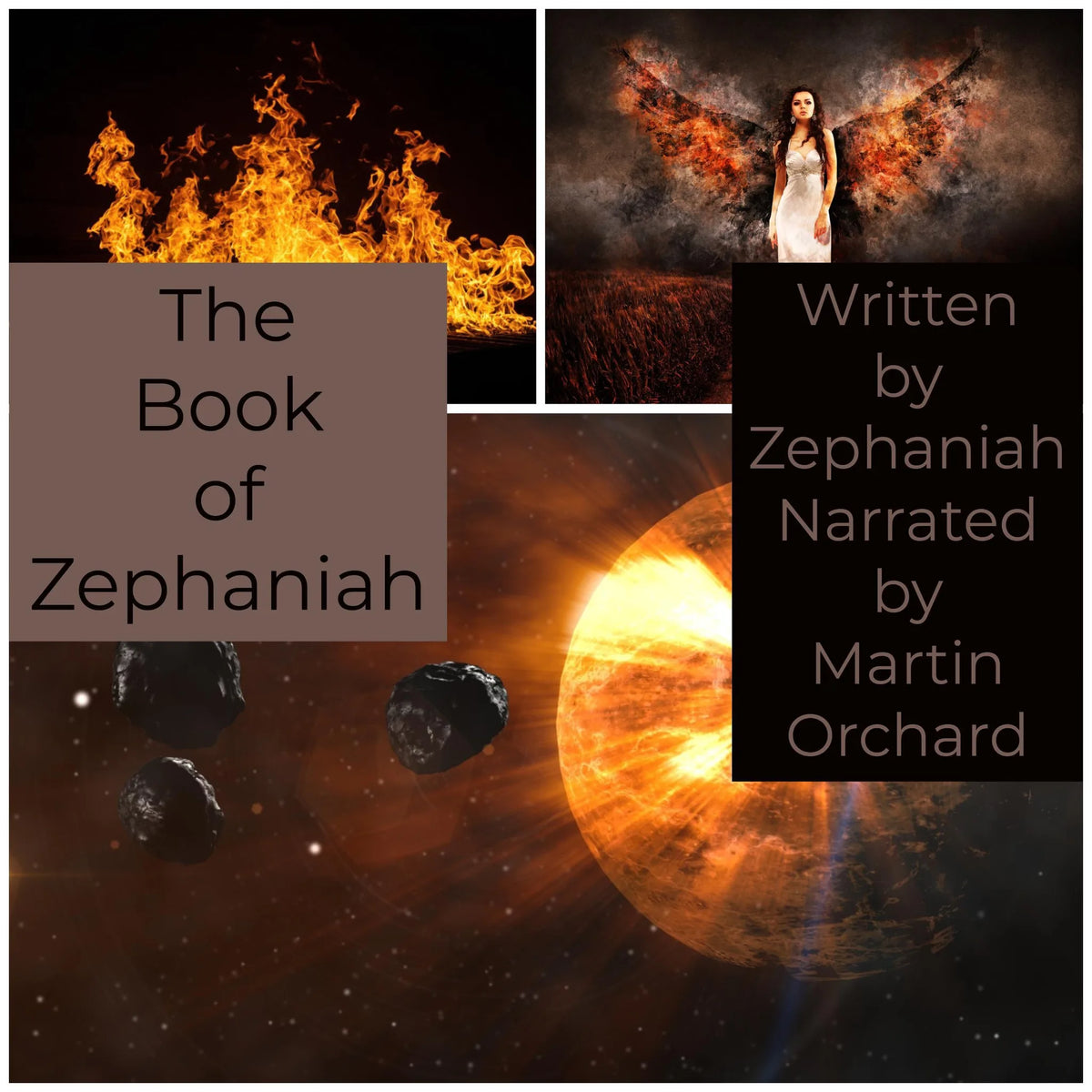 The Book of Zephaniah - The Holy Bible King James Version