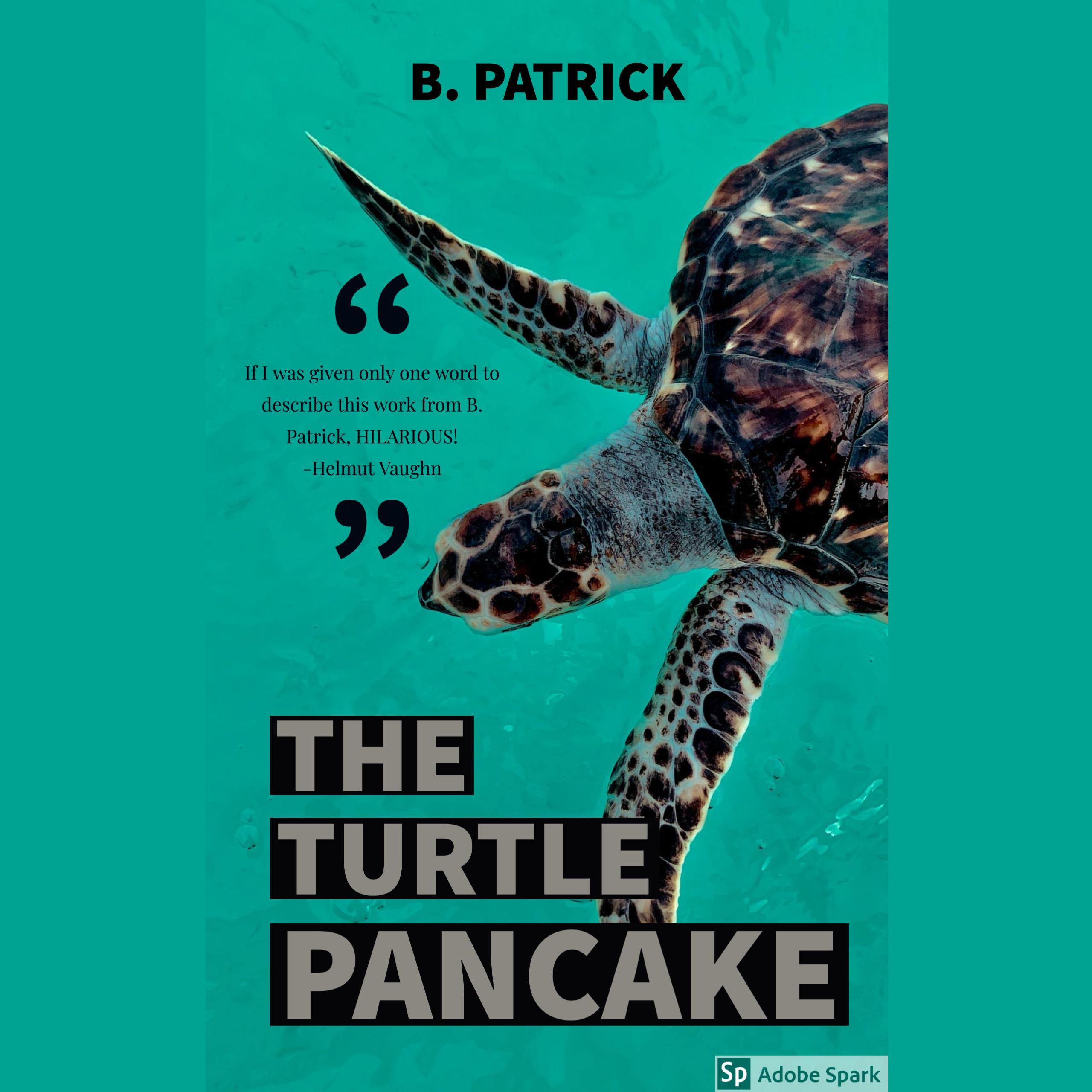 The Turtle Pancake