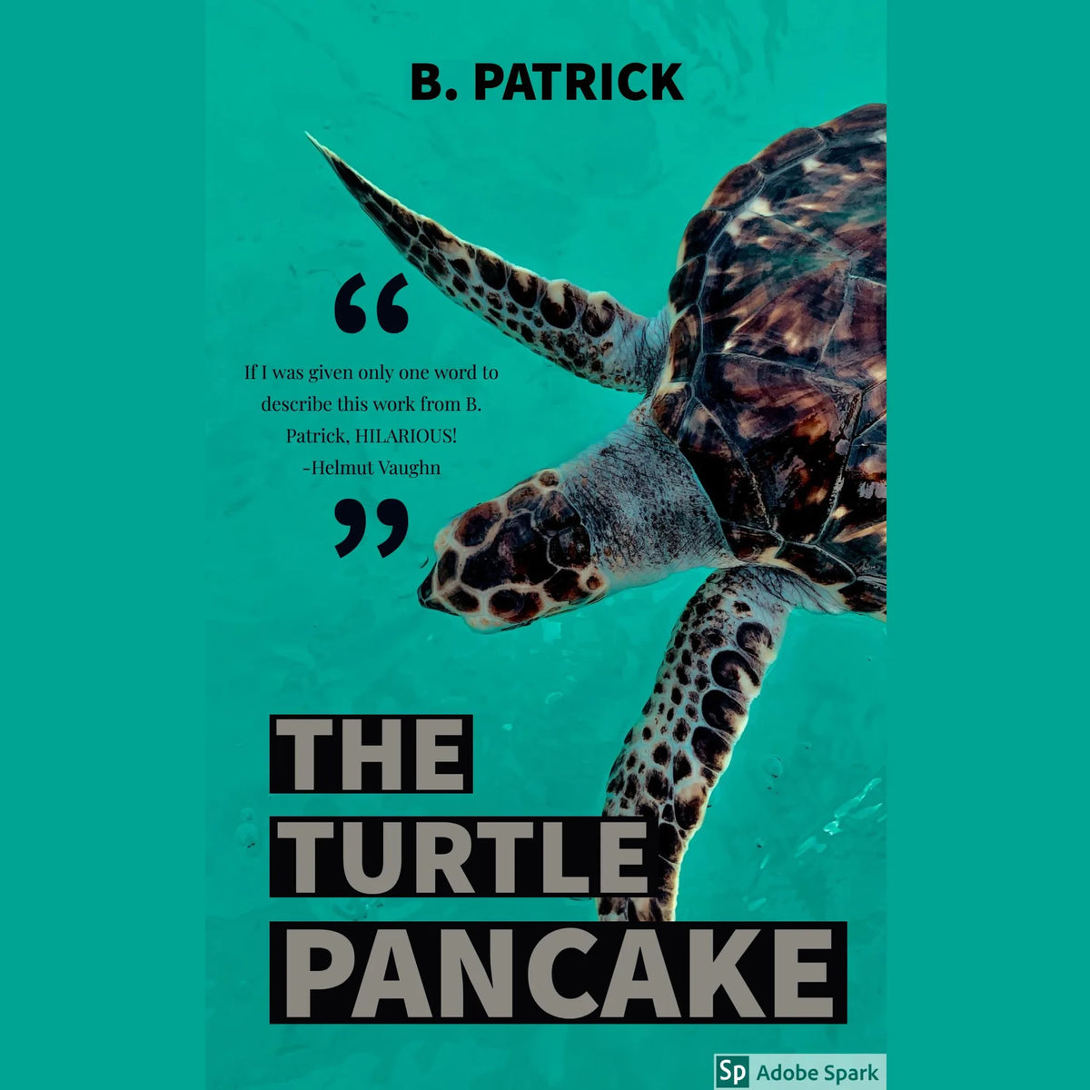 The Turtle Pancake