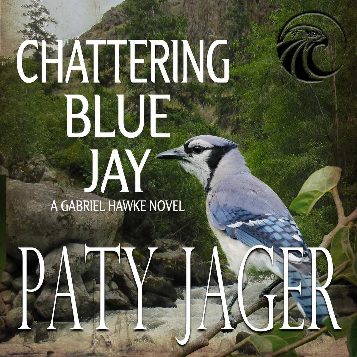 Chattering Blue Jay