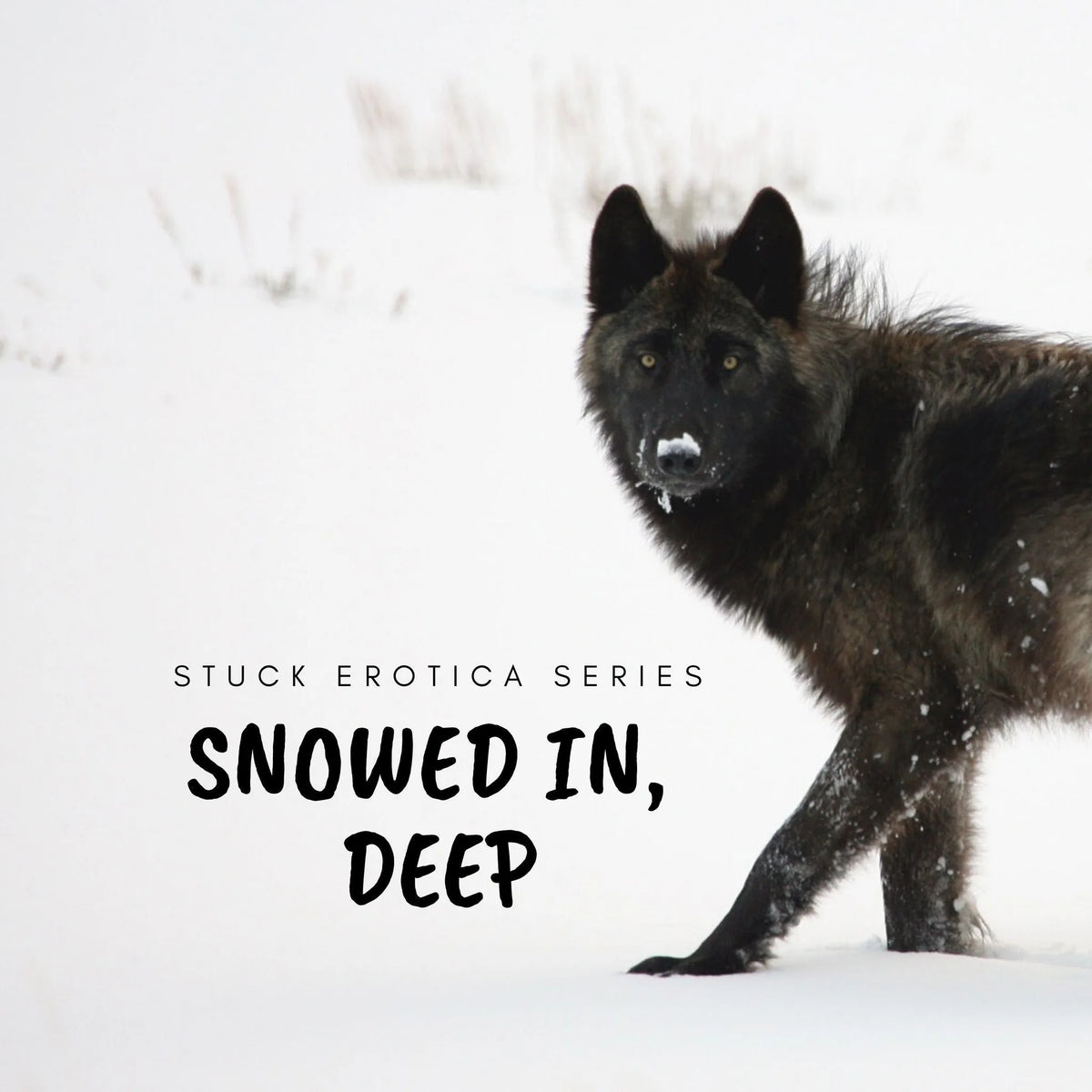 Snowed In, Deep