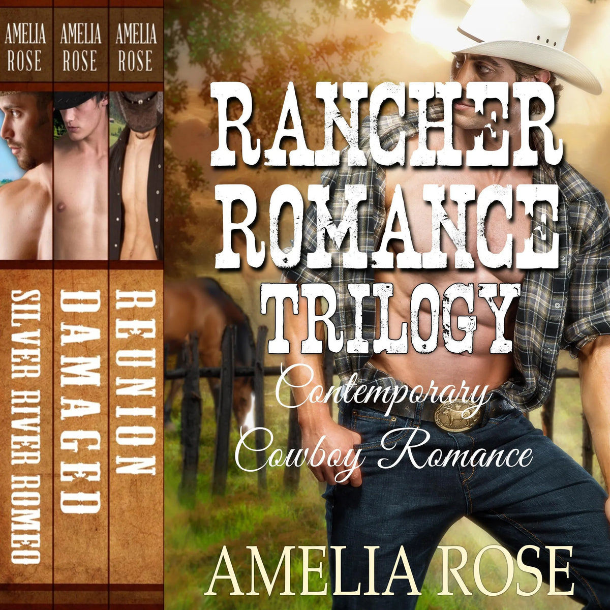 Rancher Romance Trilogy