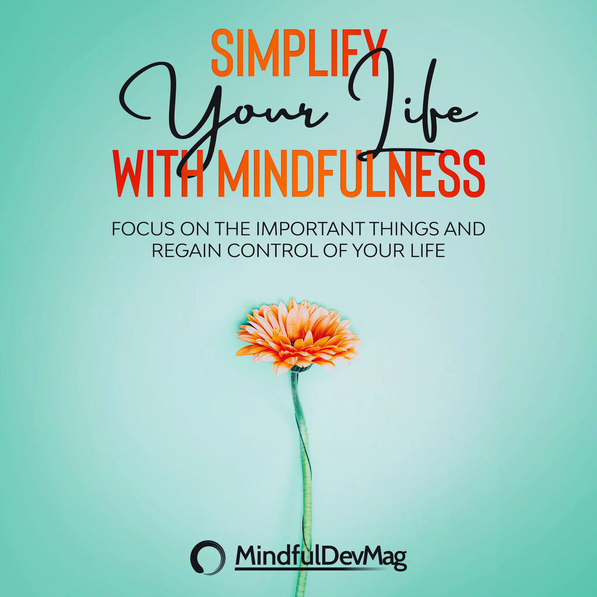 Simplify Your Life with Mindfulness