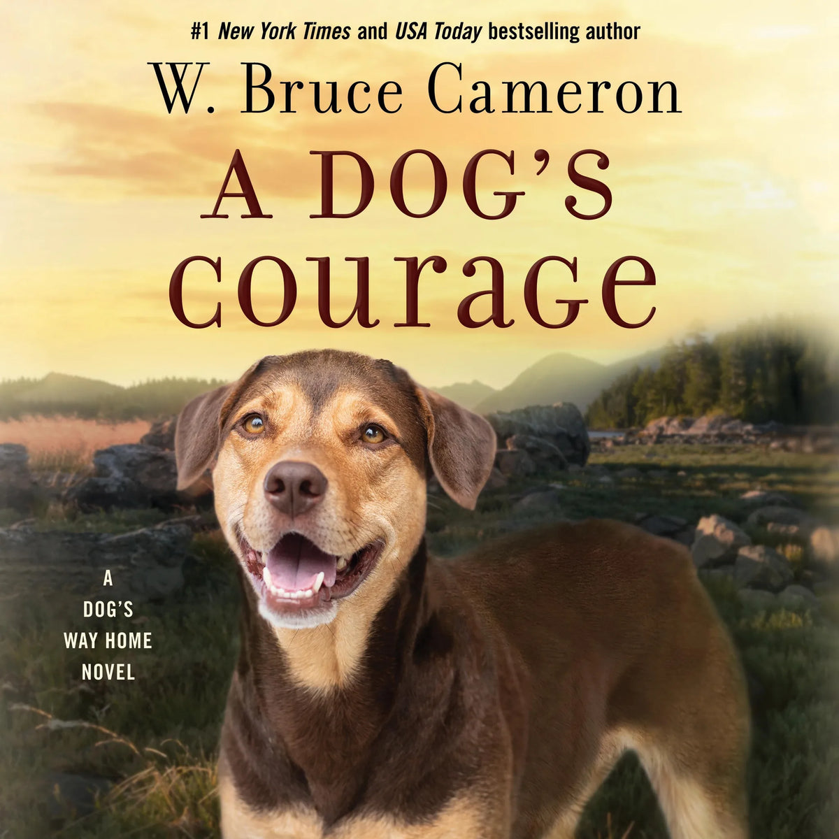 A Dog's Courage