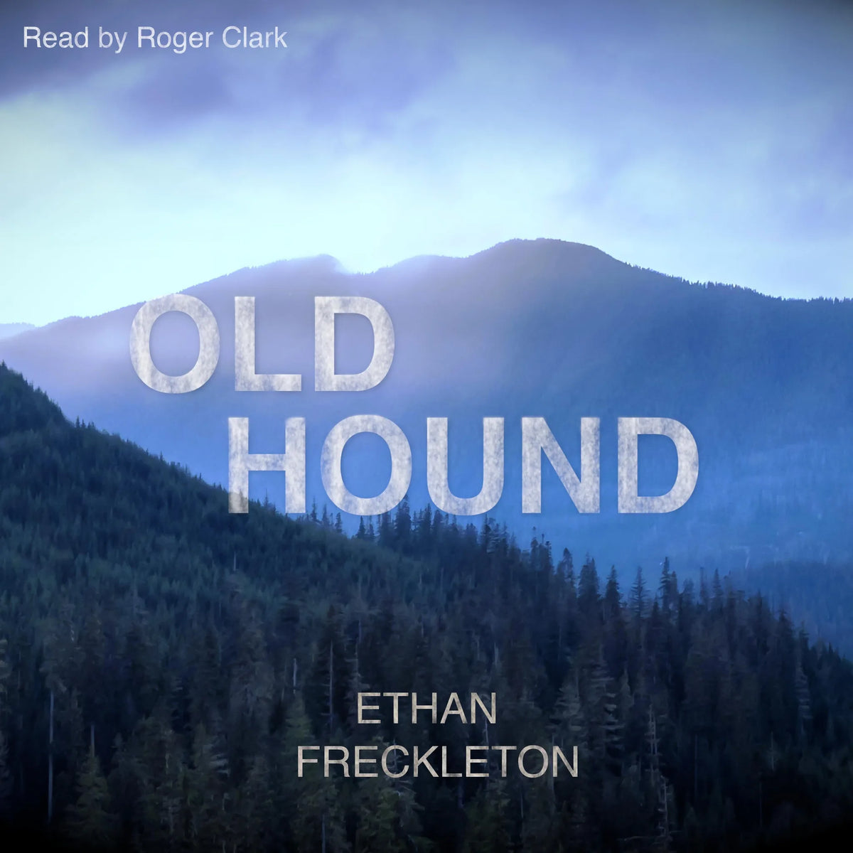 Old Hound