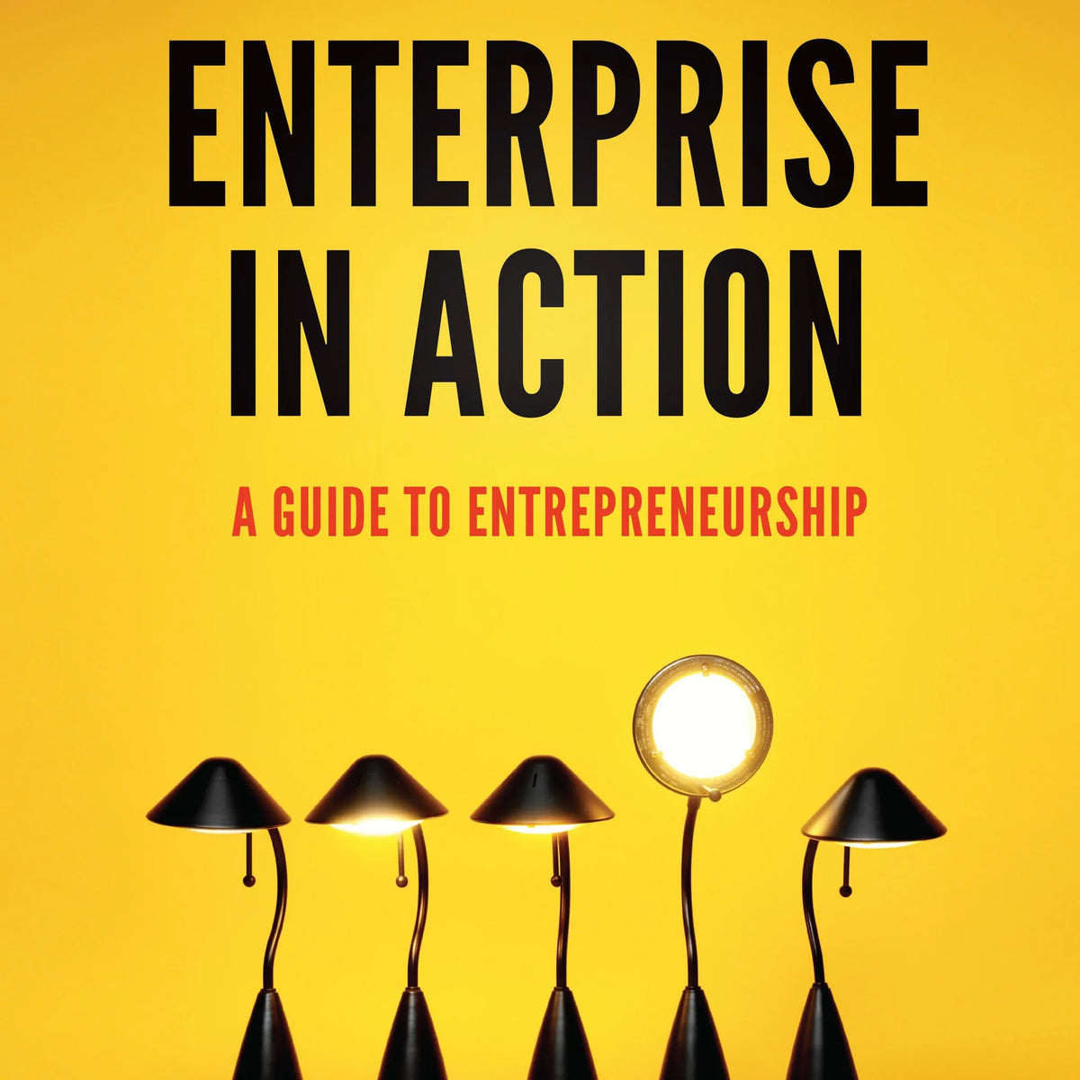 Enterprise in Action
