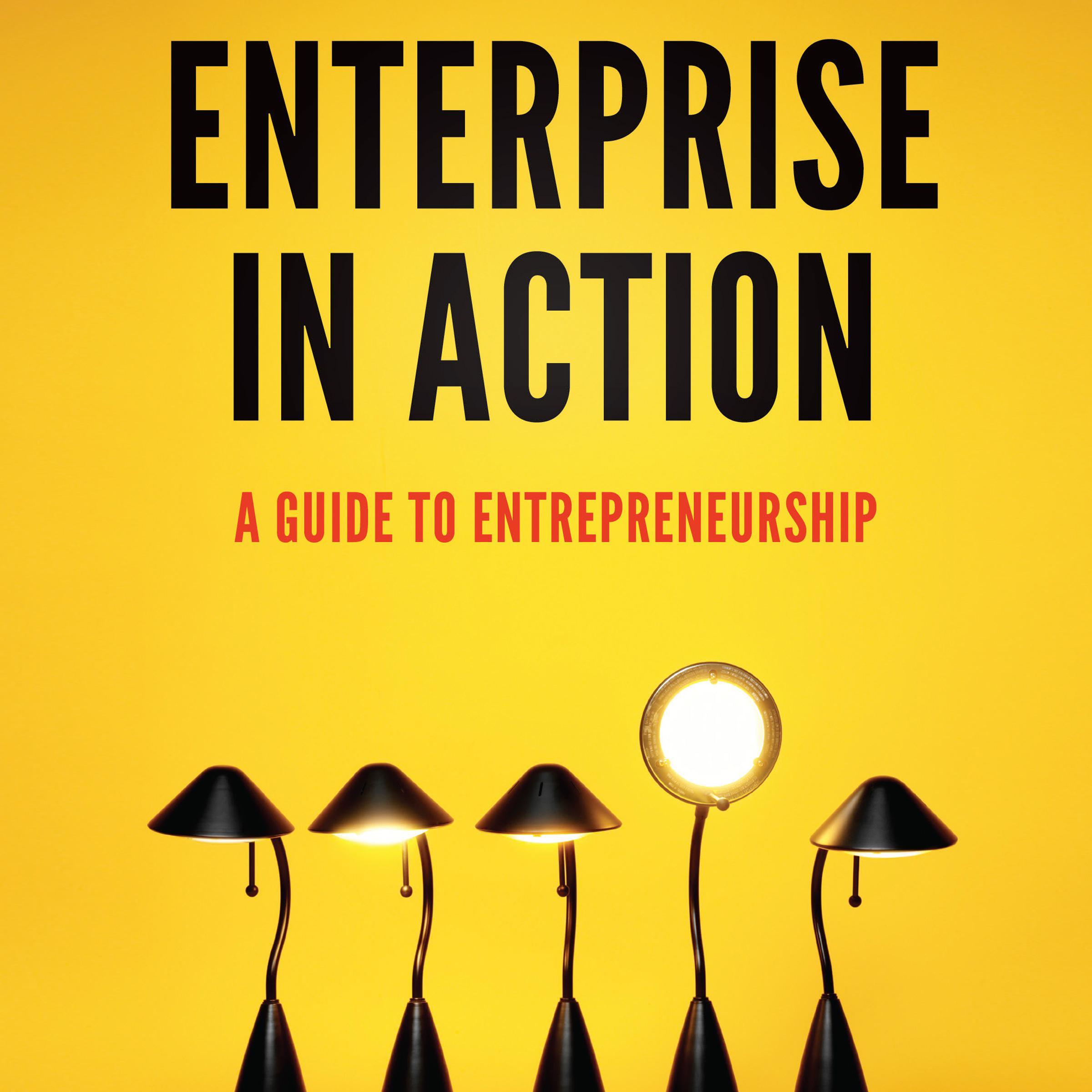 Enterprise in Action