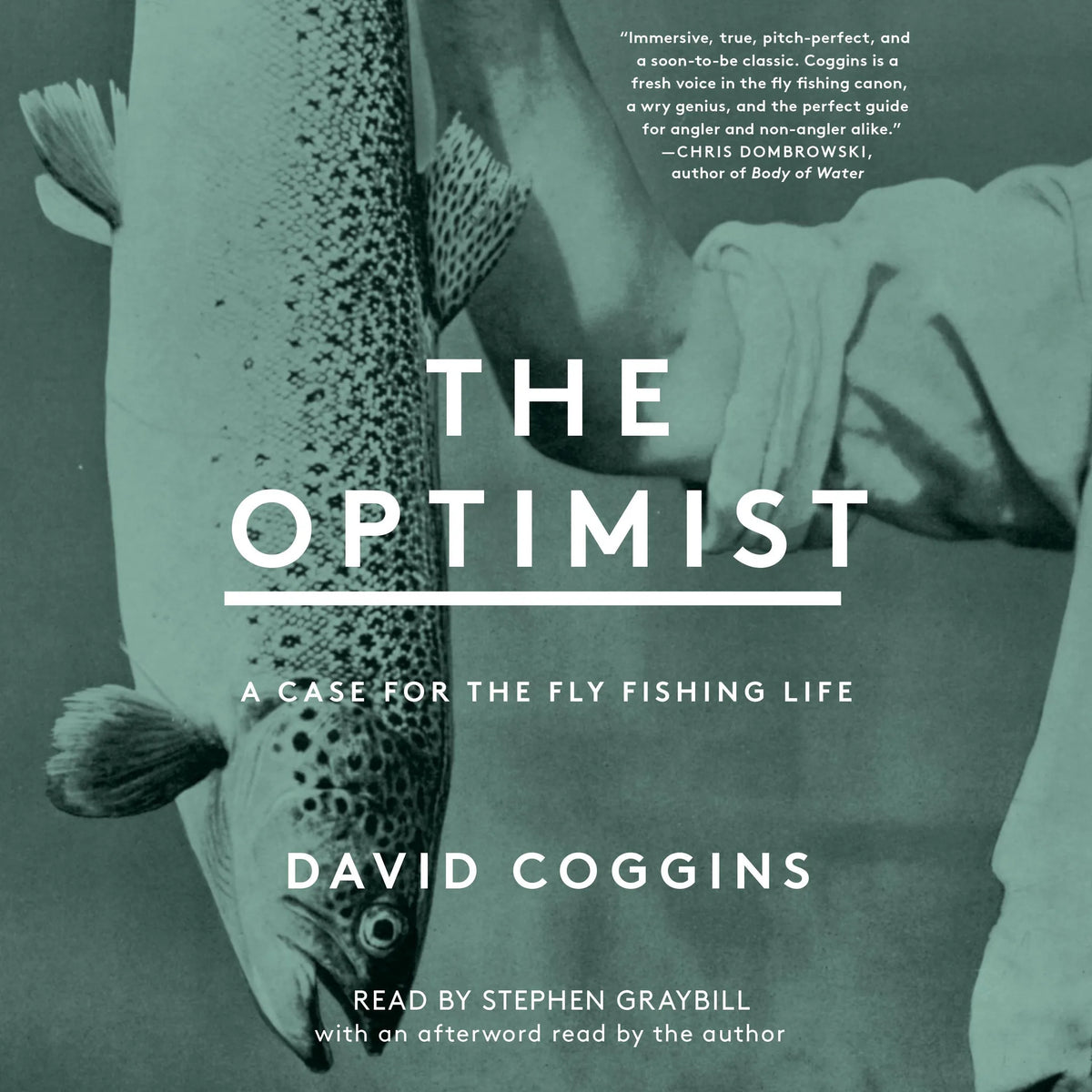 The Optimist
