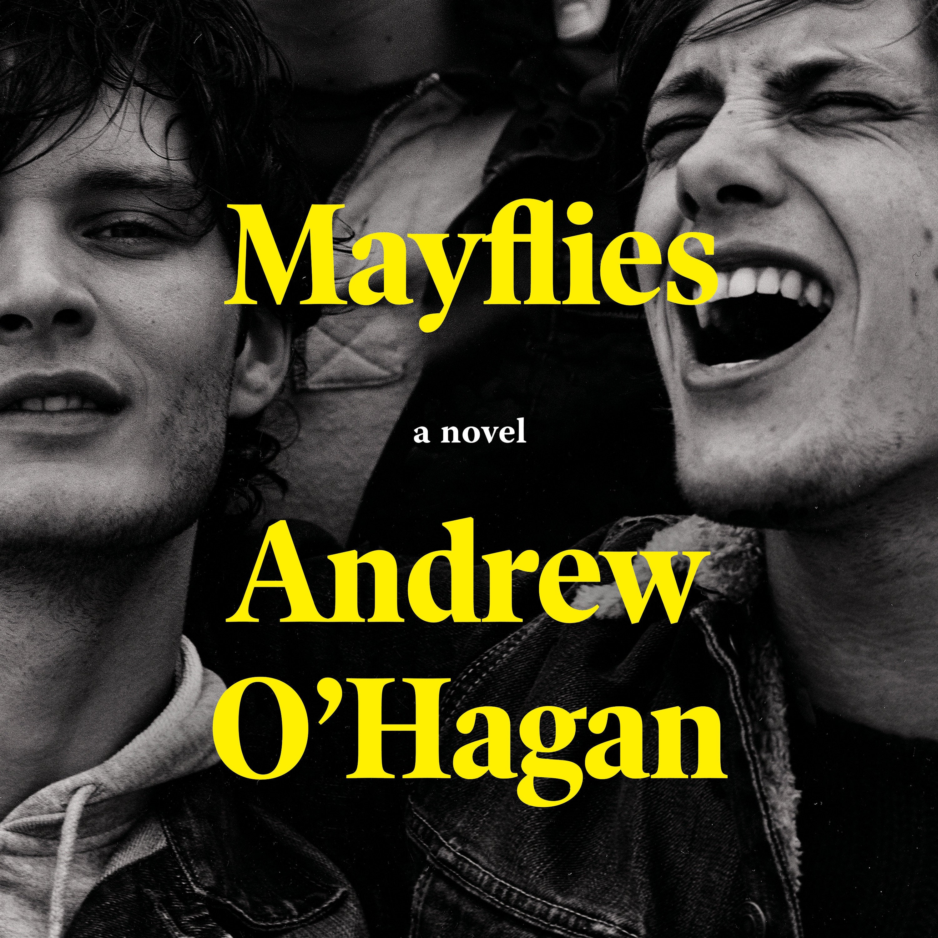 Mayflies