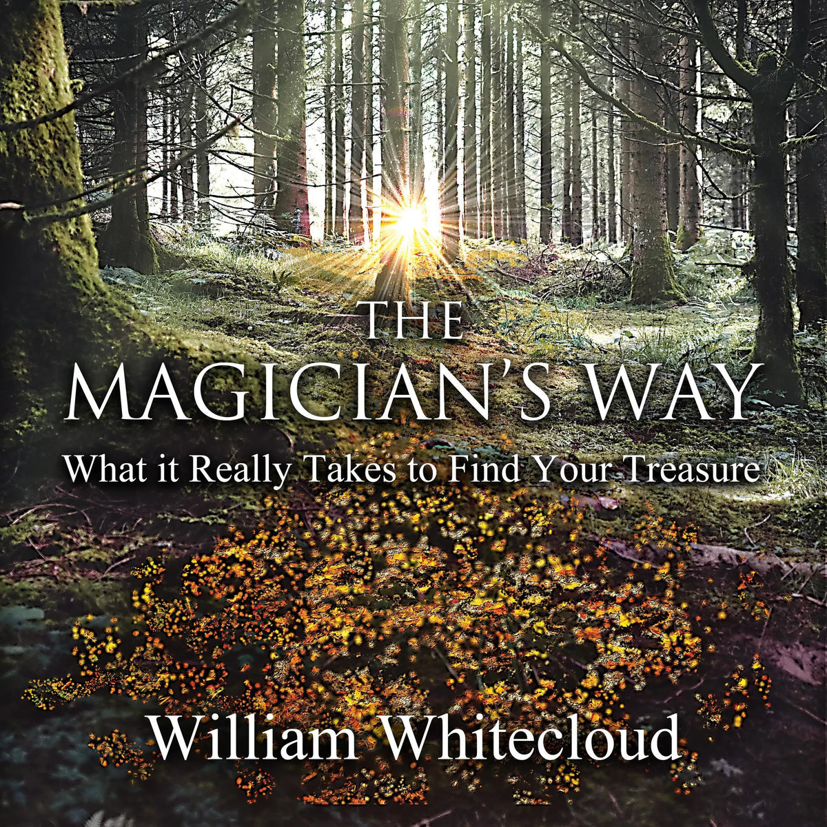 THE MAGICIAN'S WAY