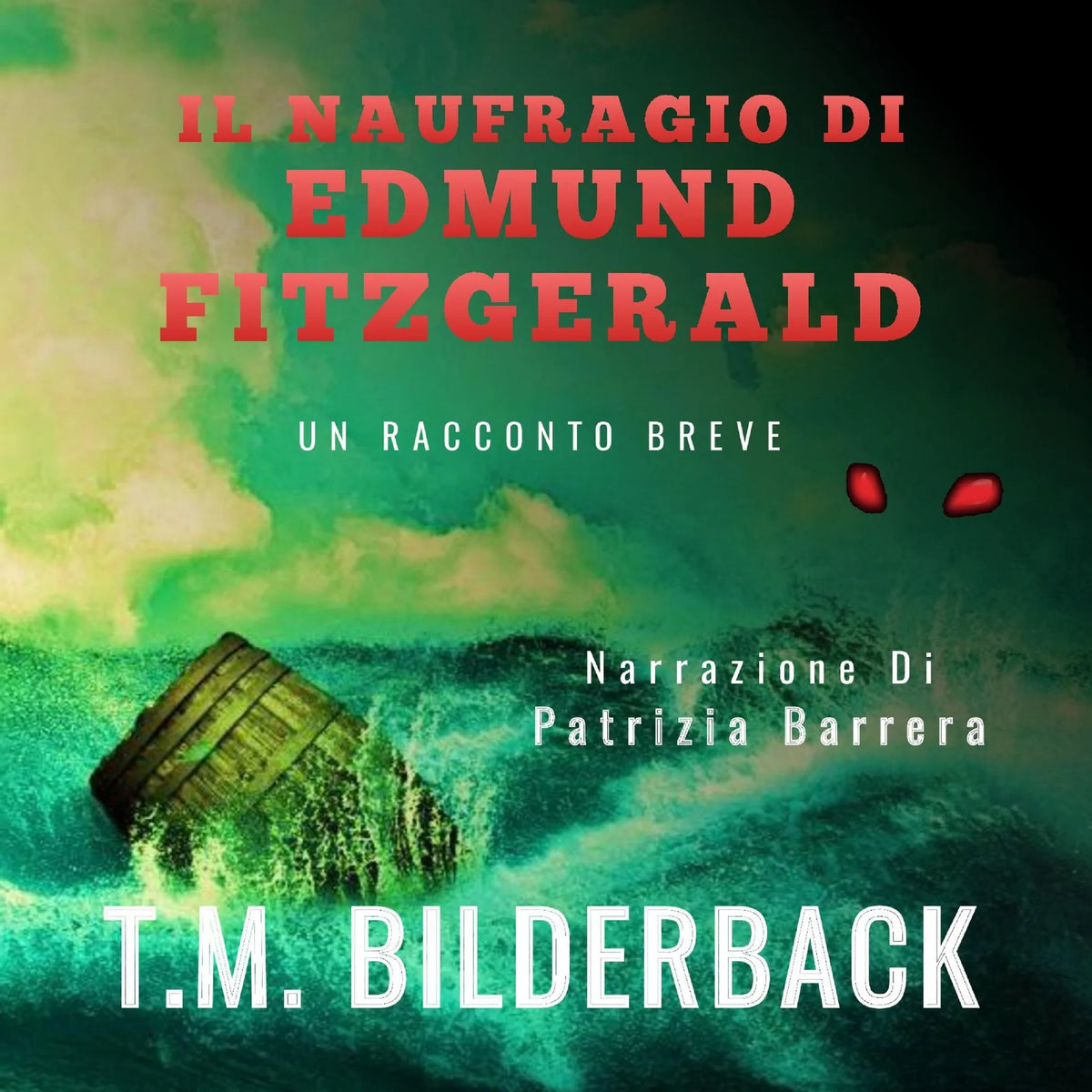 Il Naufragio Di Edmund Fitzgerald - Un Racconto Breve