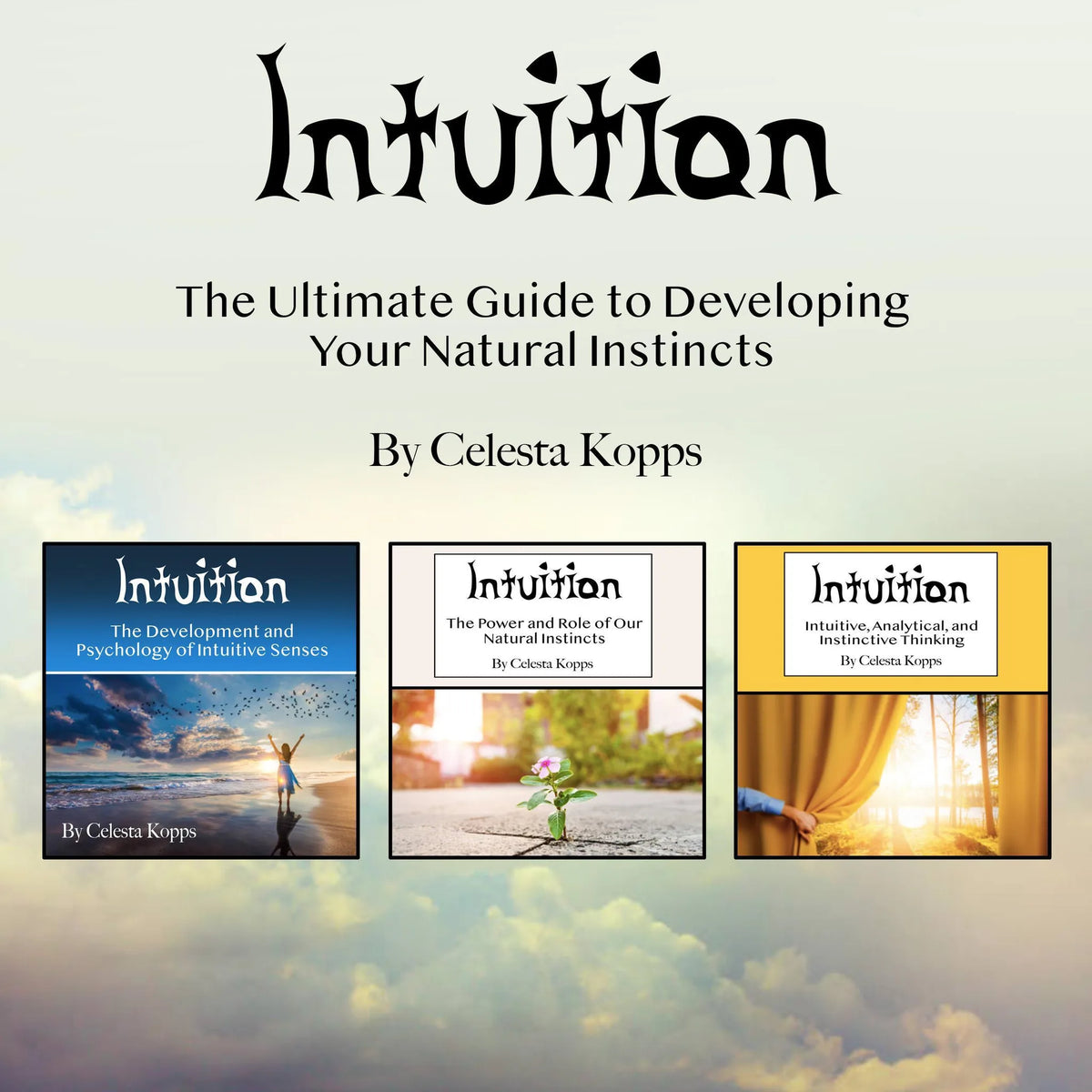 Intuition