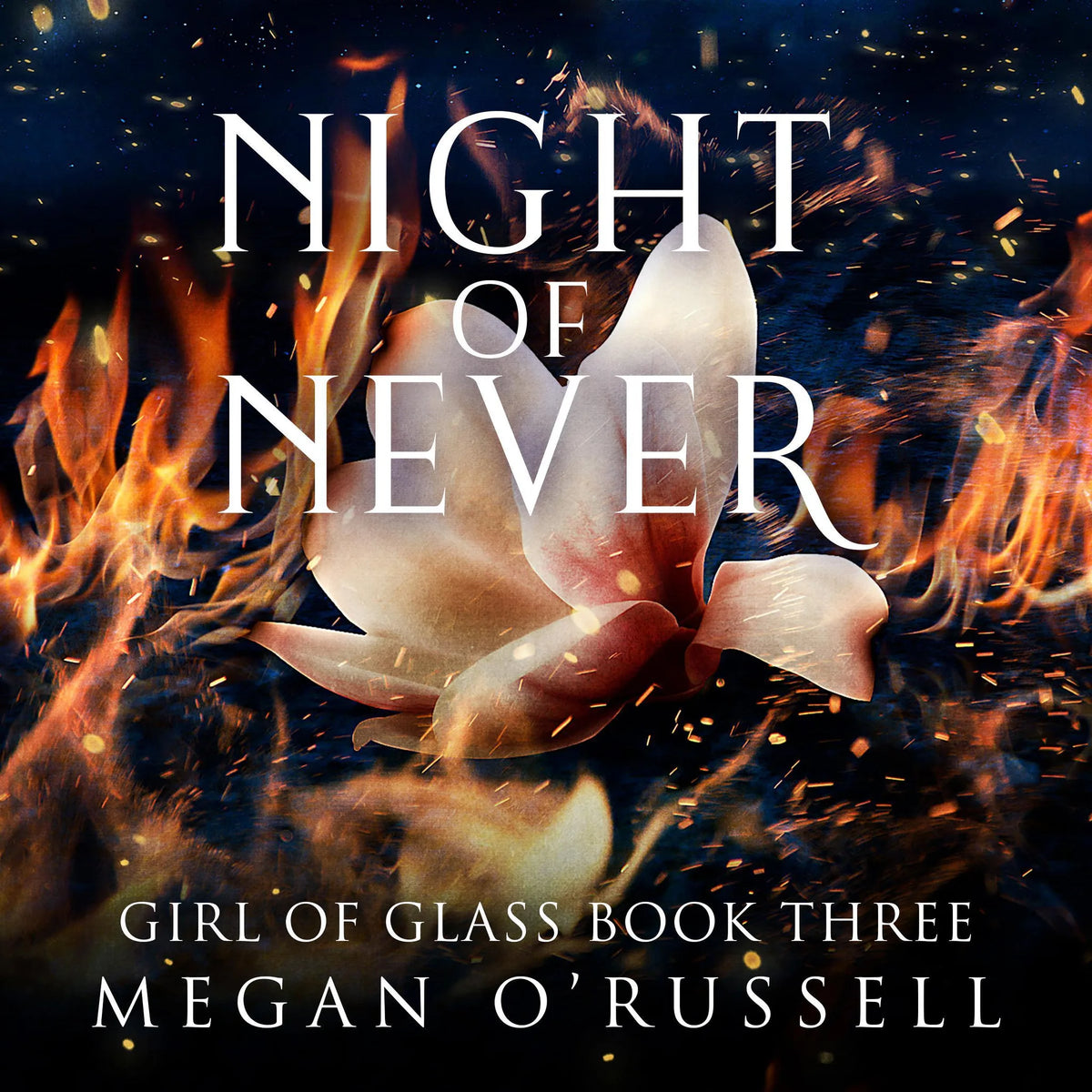 Night of Never