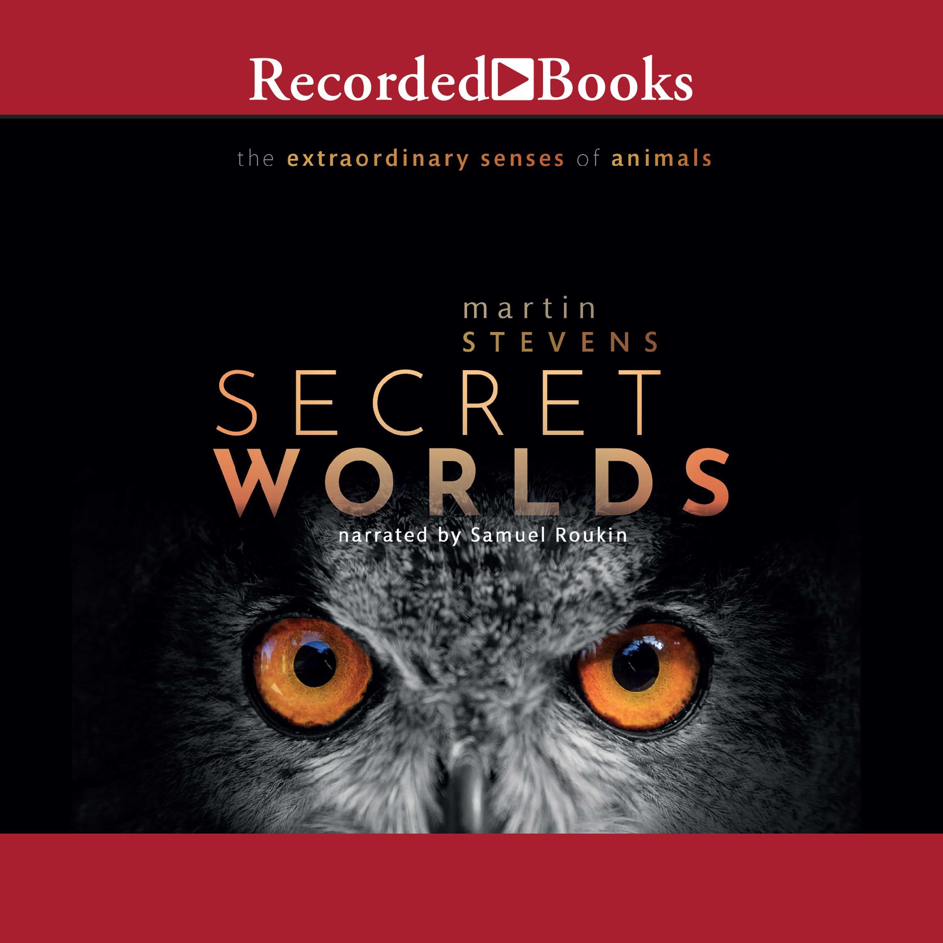 Secret Worlds