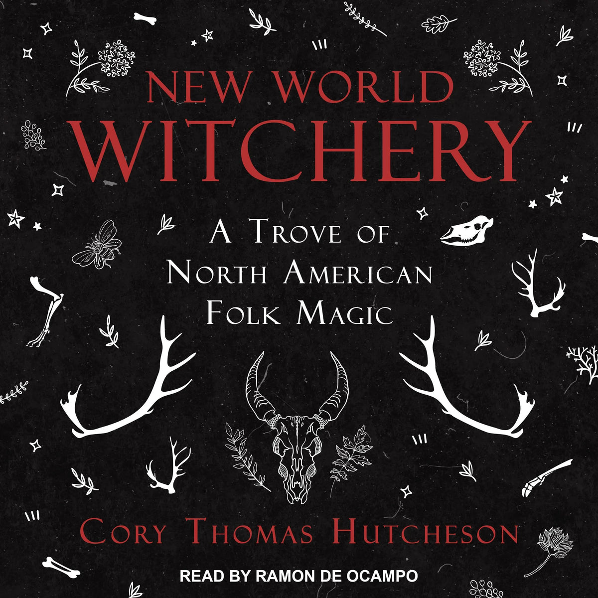 New World Witchery