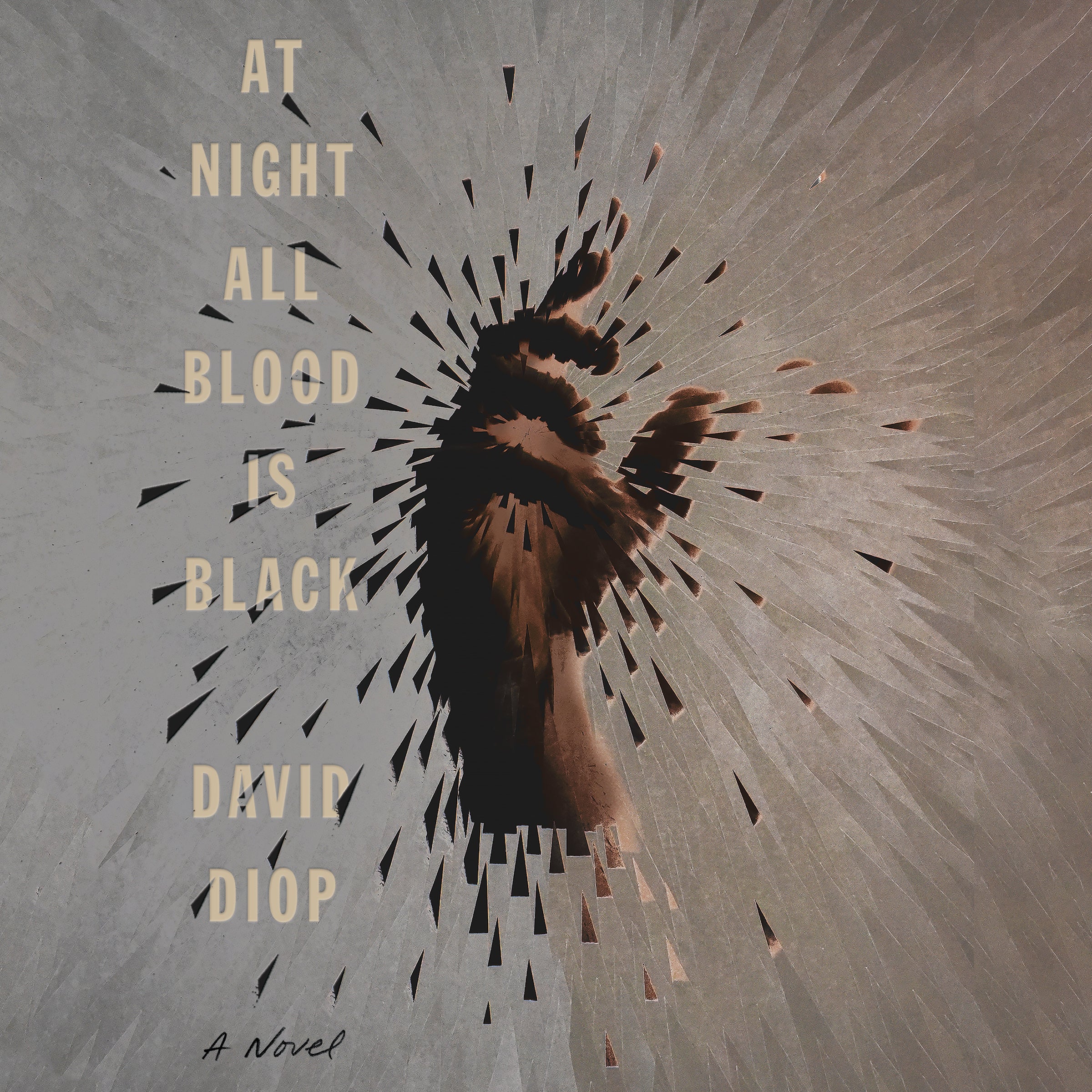 At Night All Blood Is Black