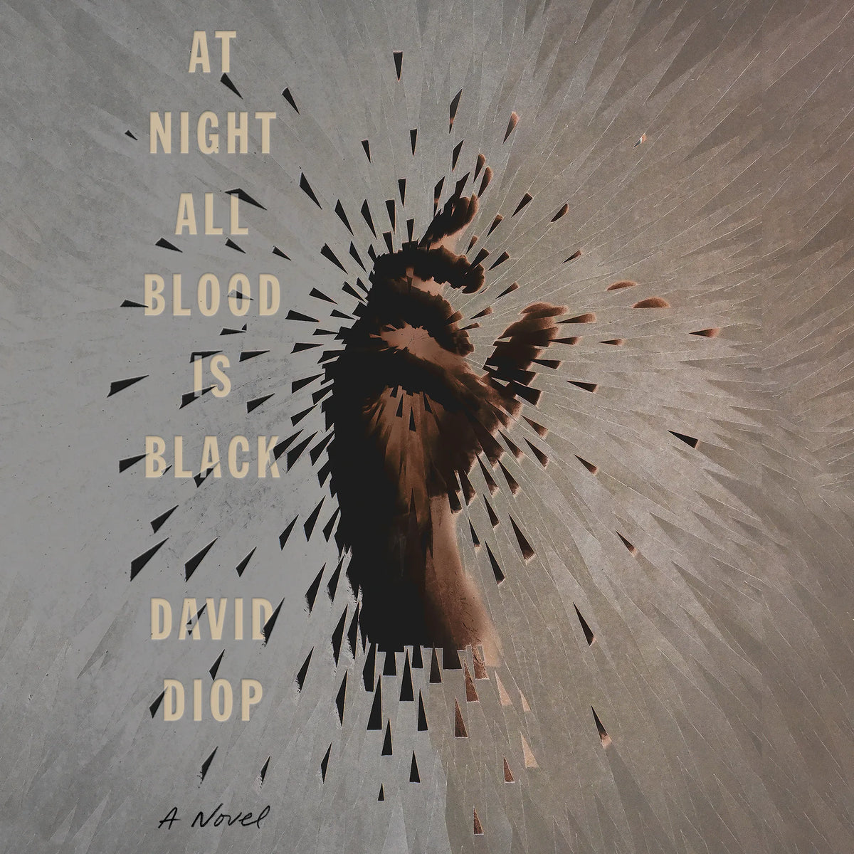 At Night All Blood Is Black