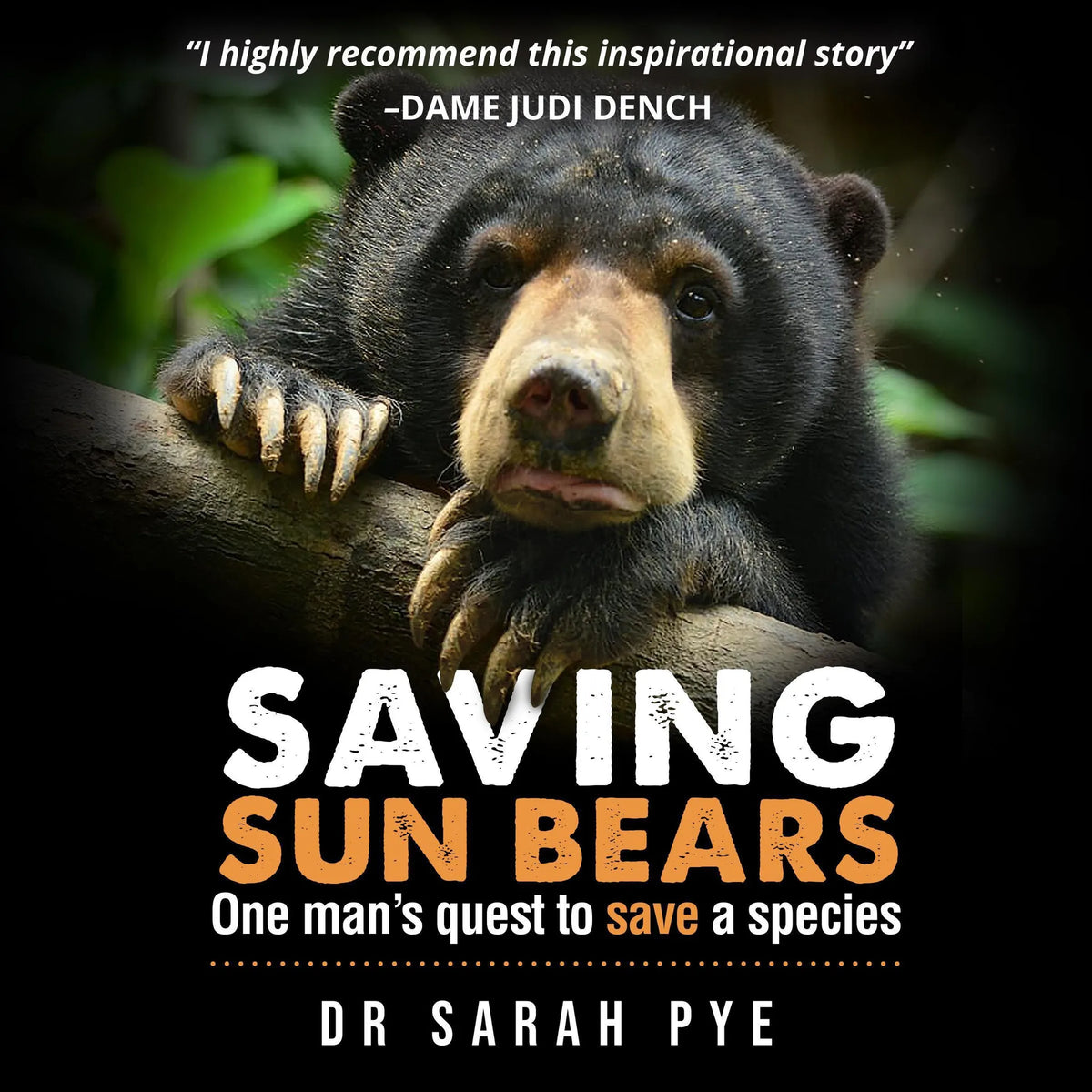 Saving Sun Bears