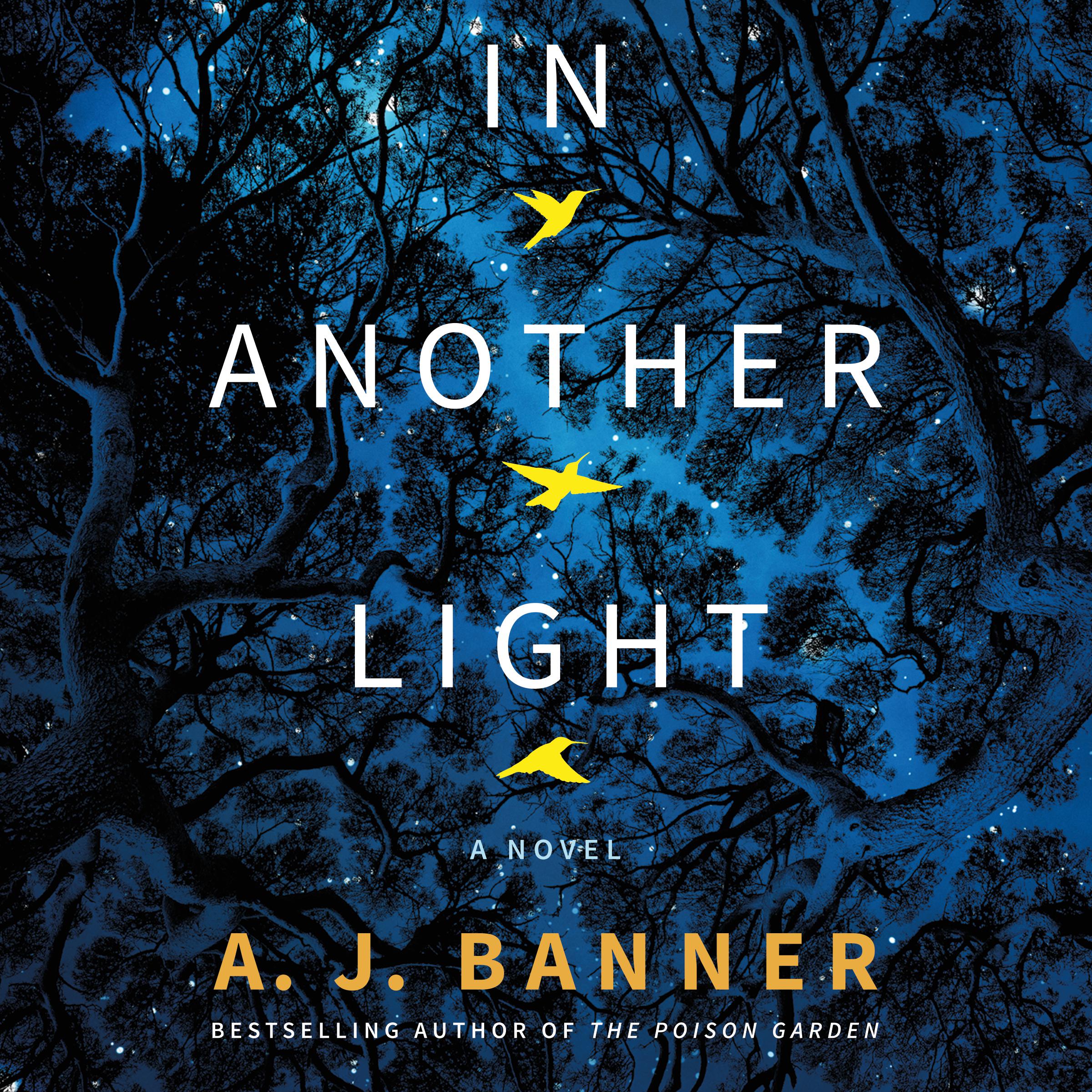 In Another Light