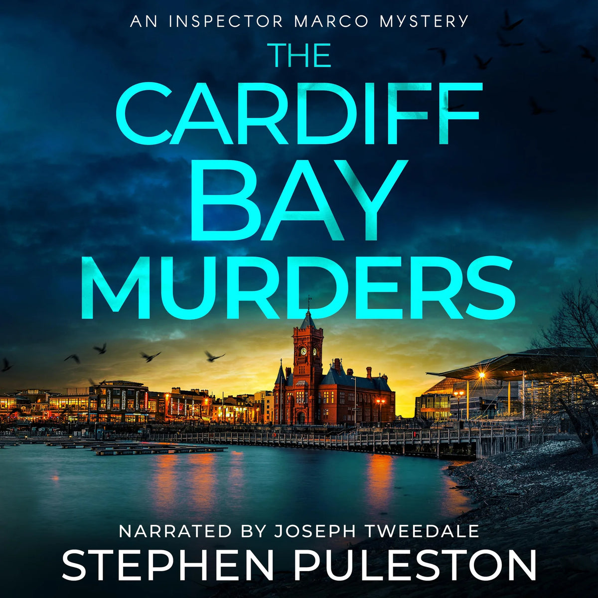 The Cardiff Bay Murders
