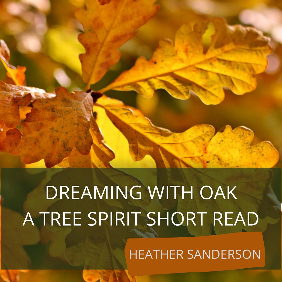 Dreaming with Oak