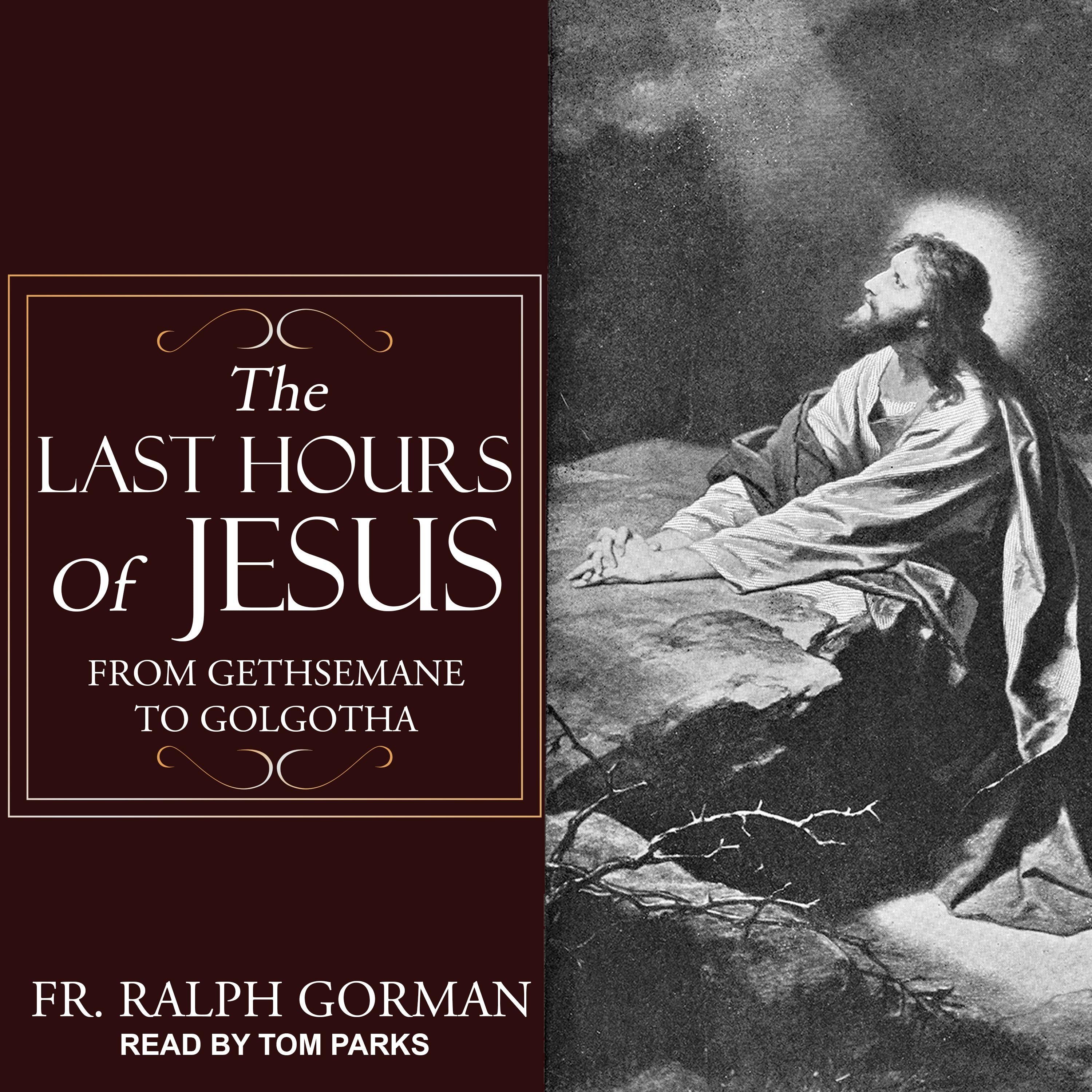 The Last Hours of Jesus