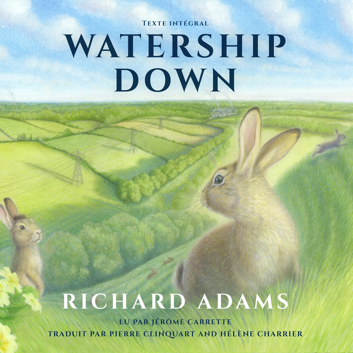 Watership Down