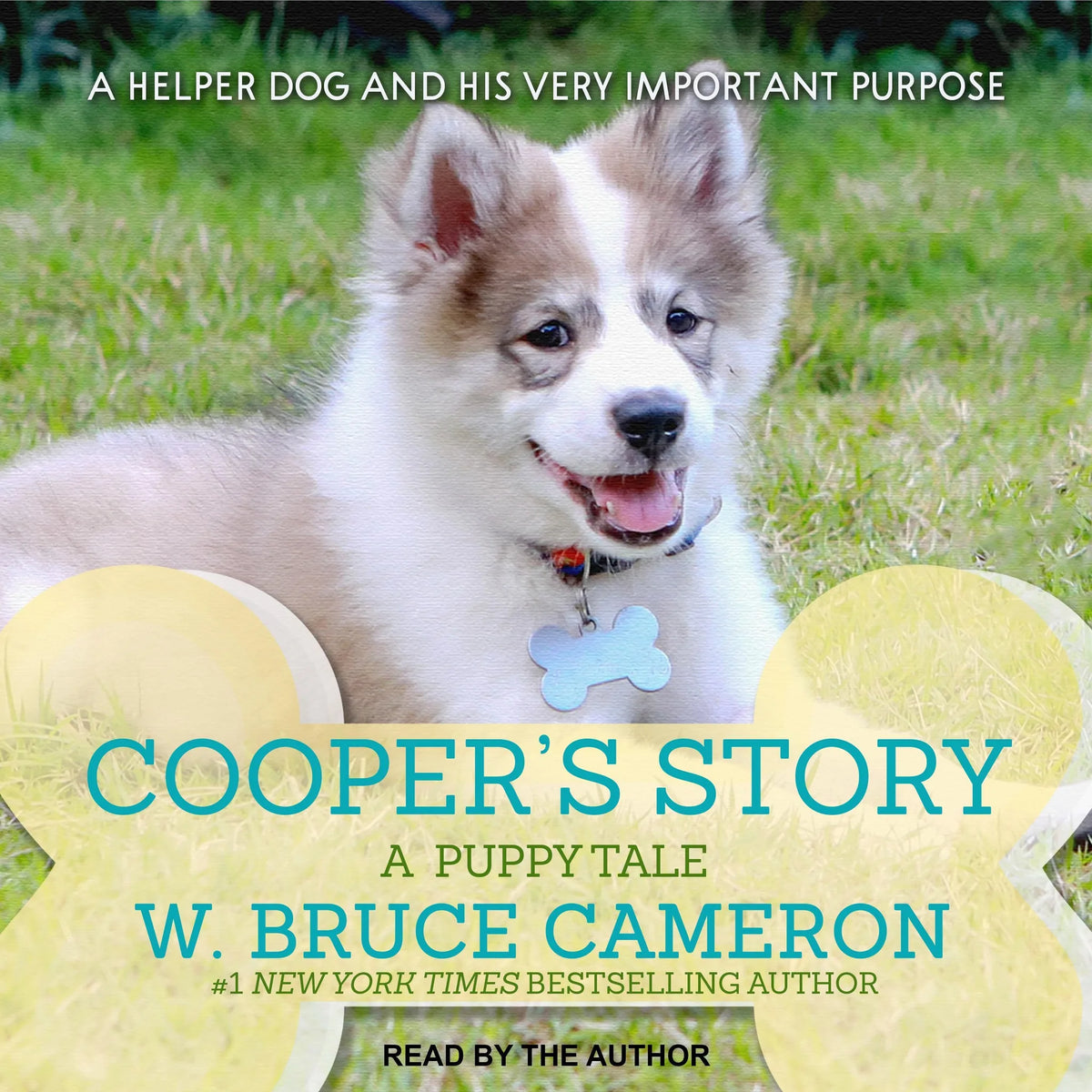 Cooper's Story