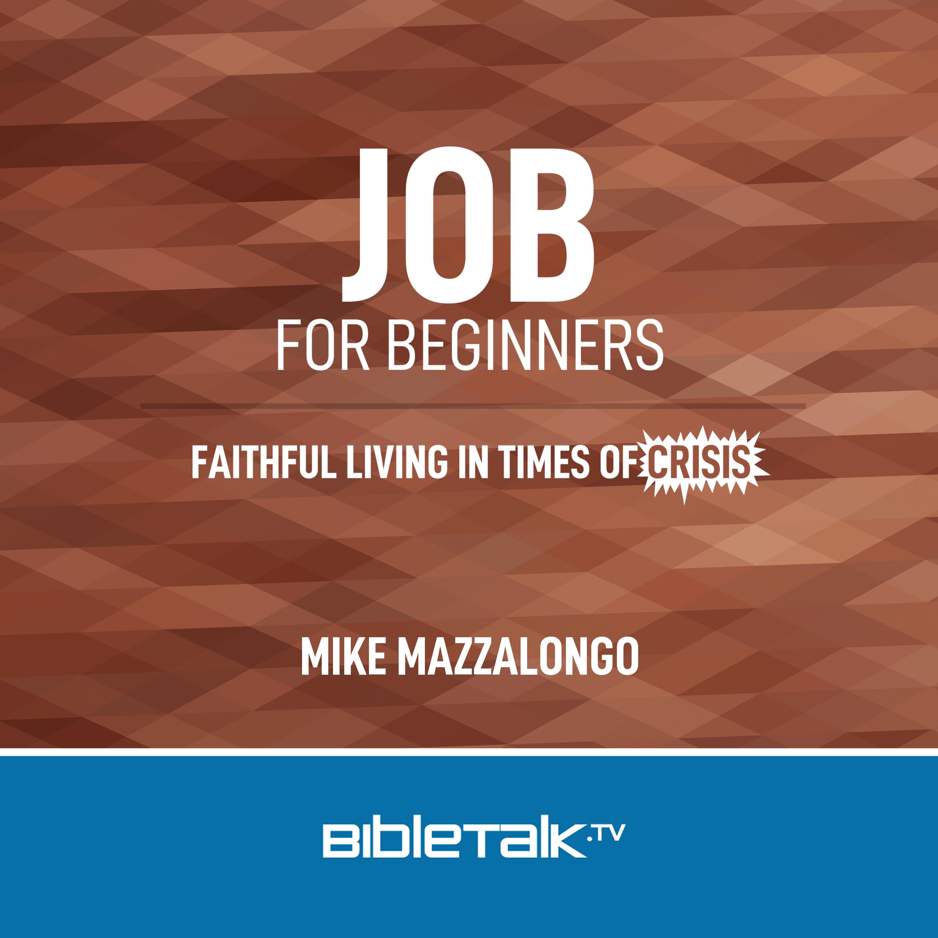 Job for Beginners