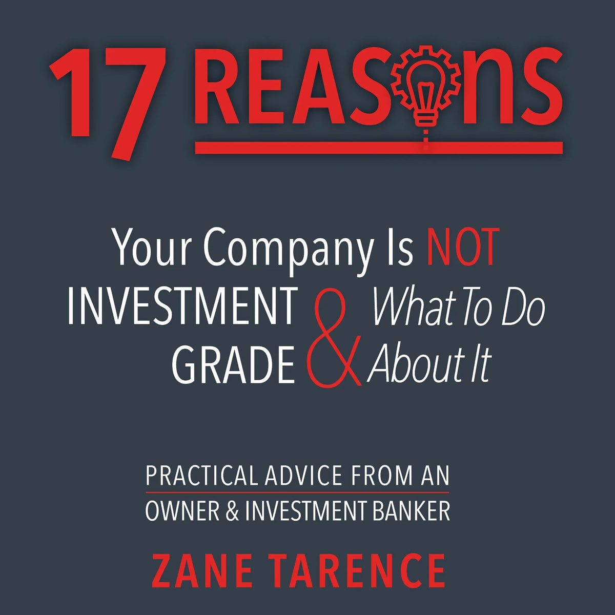 17 Reasons Your Company Is Not Investment Grade & What To Do About It