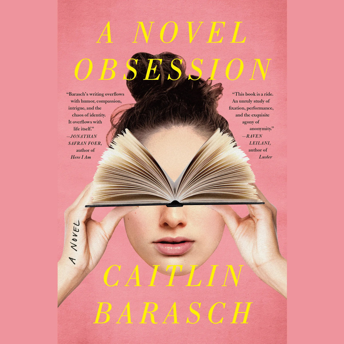 A Novel Obsession