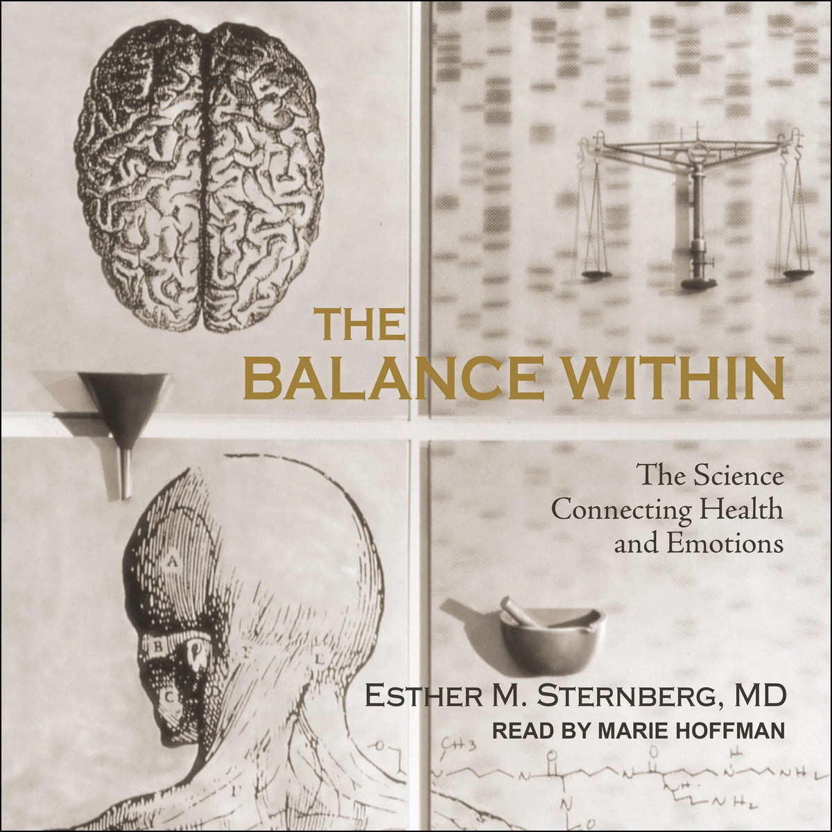 The Balance Within