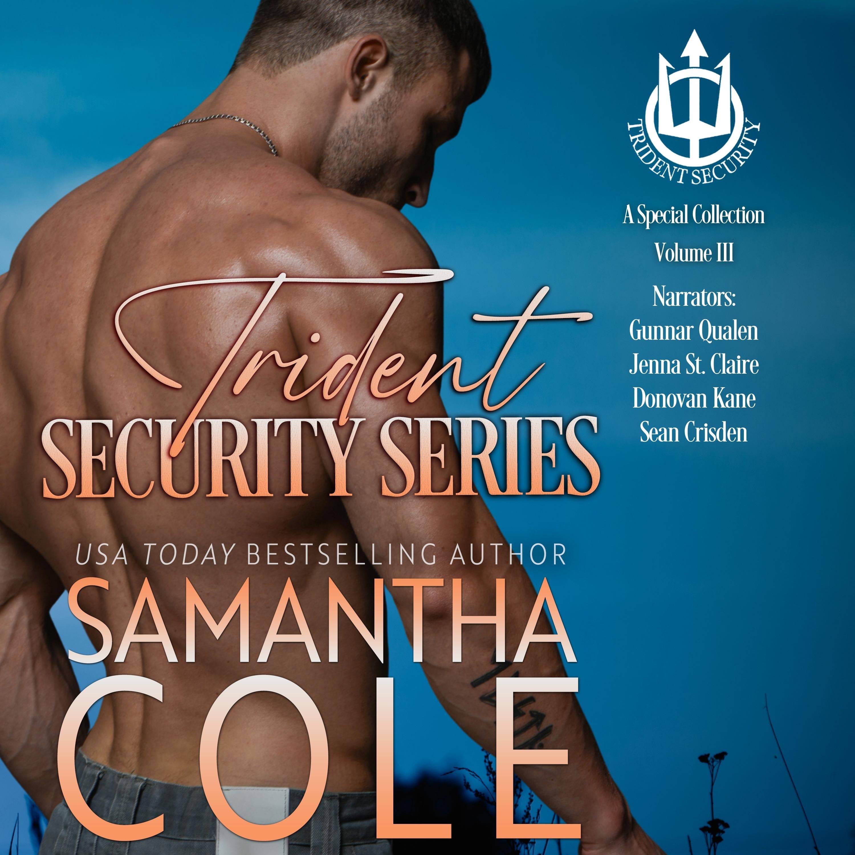 Trident Security Series: A Special Collection: Volume III