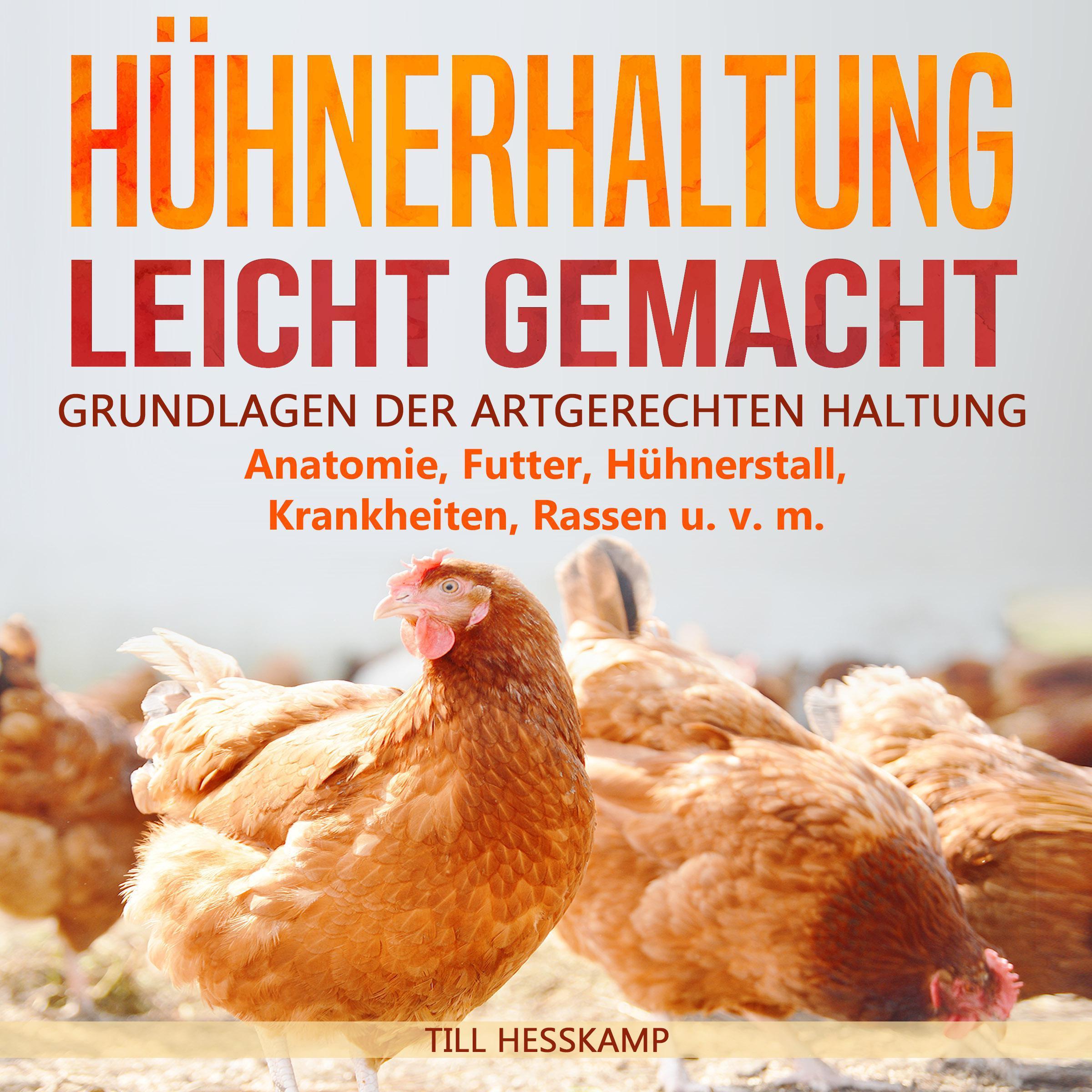 Hühnerhaltung leicht gemacht