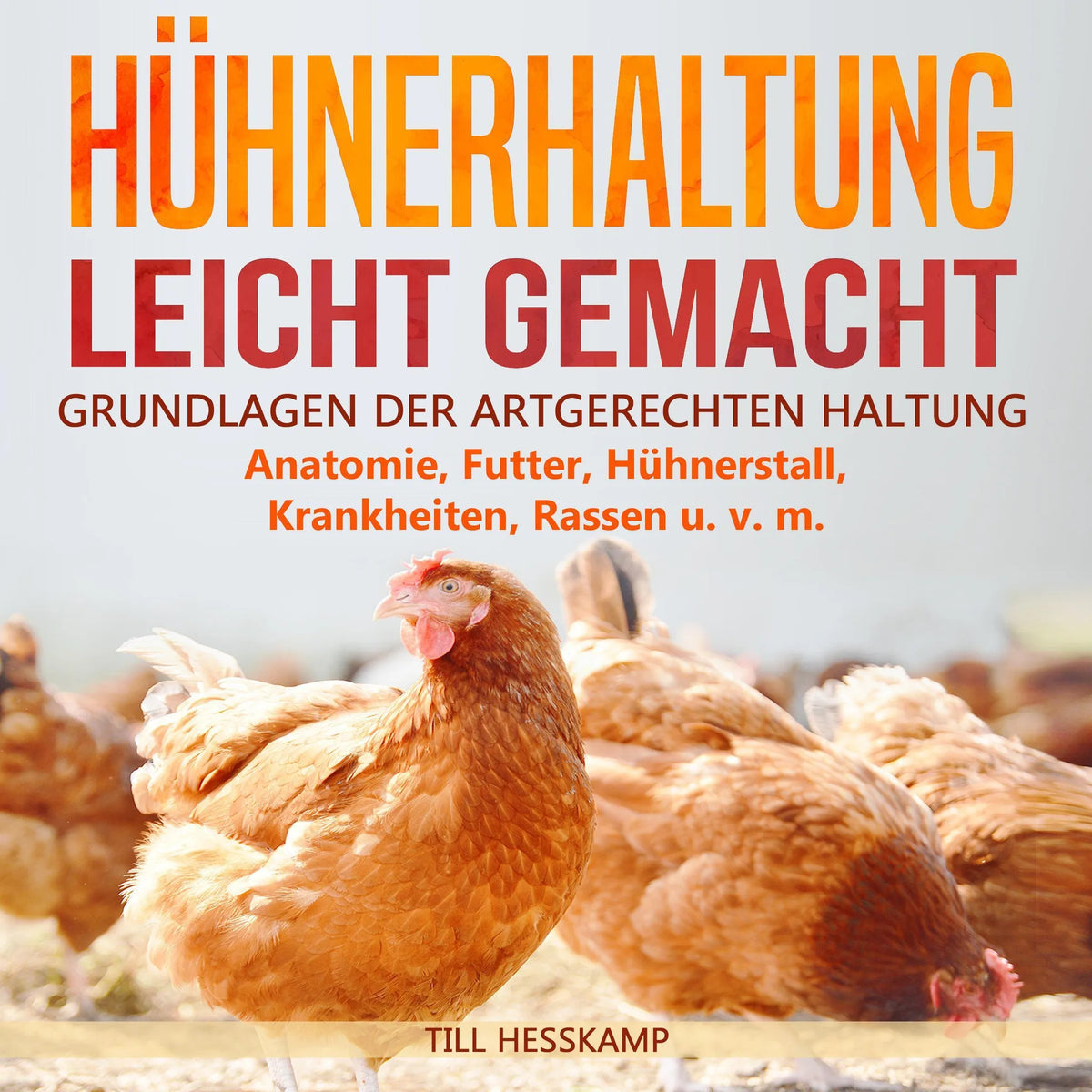 Hühnerhaltung leicht gemacht