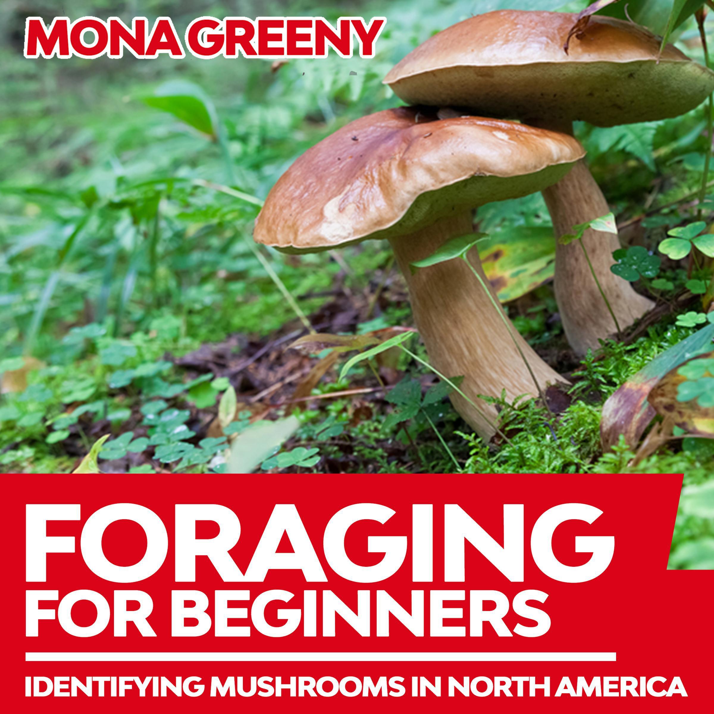 Foraging For Beginners