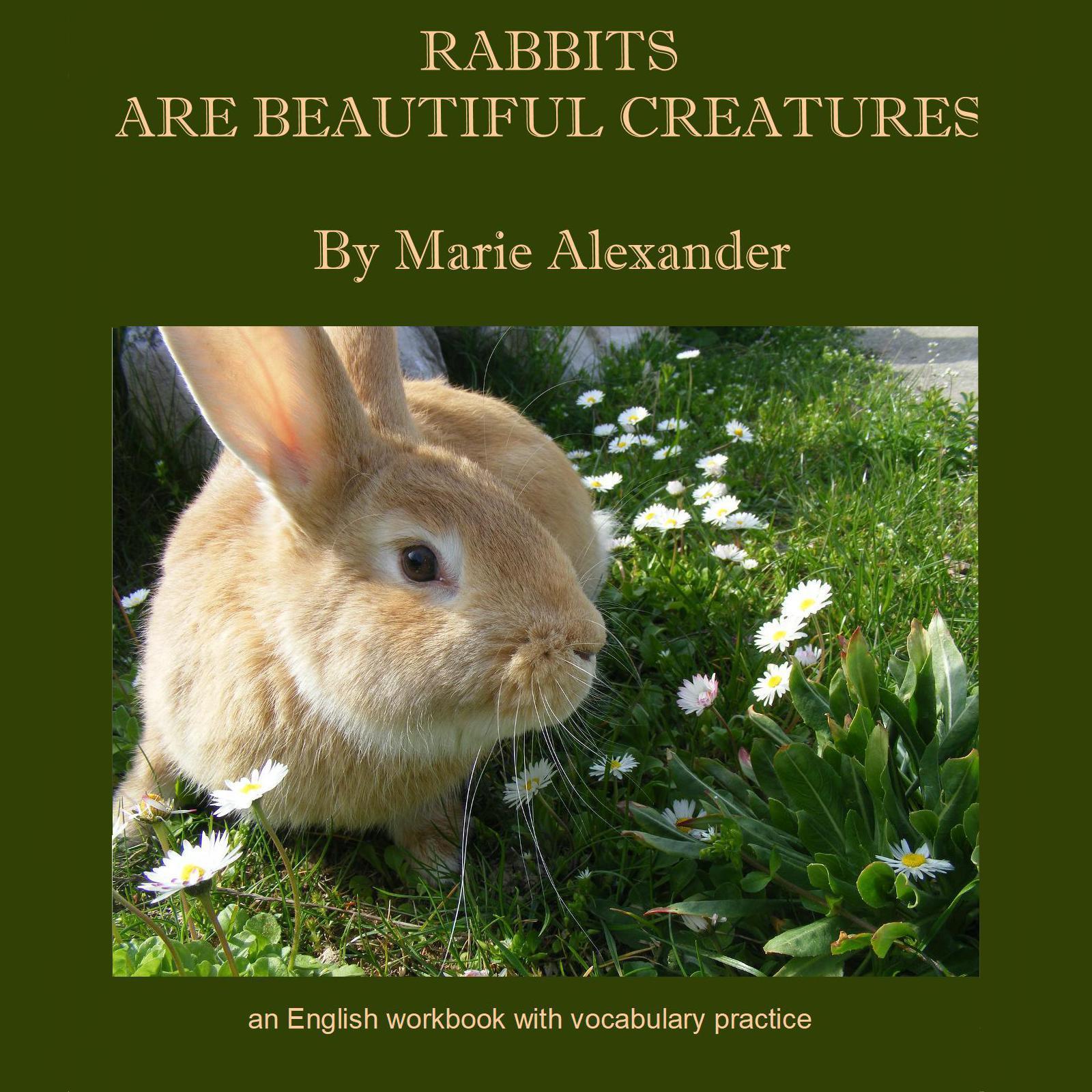 Rabbits Are Beautiful Creatures