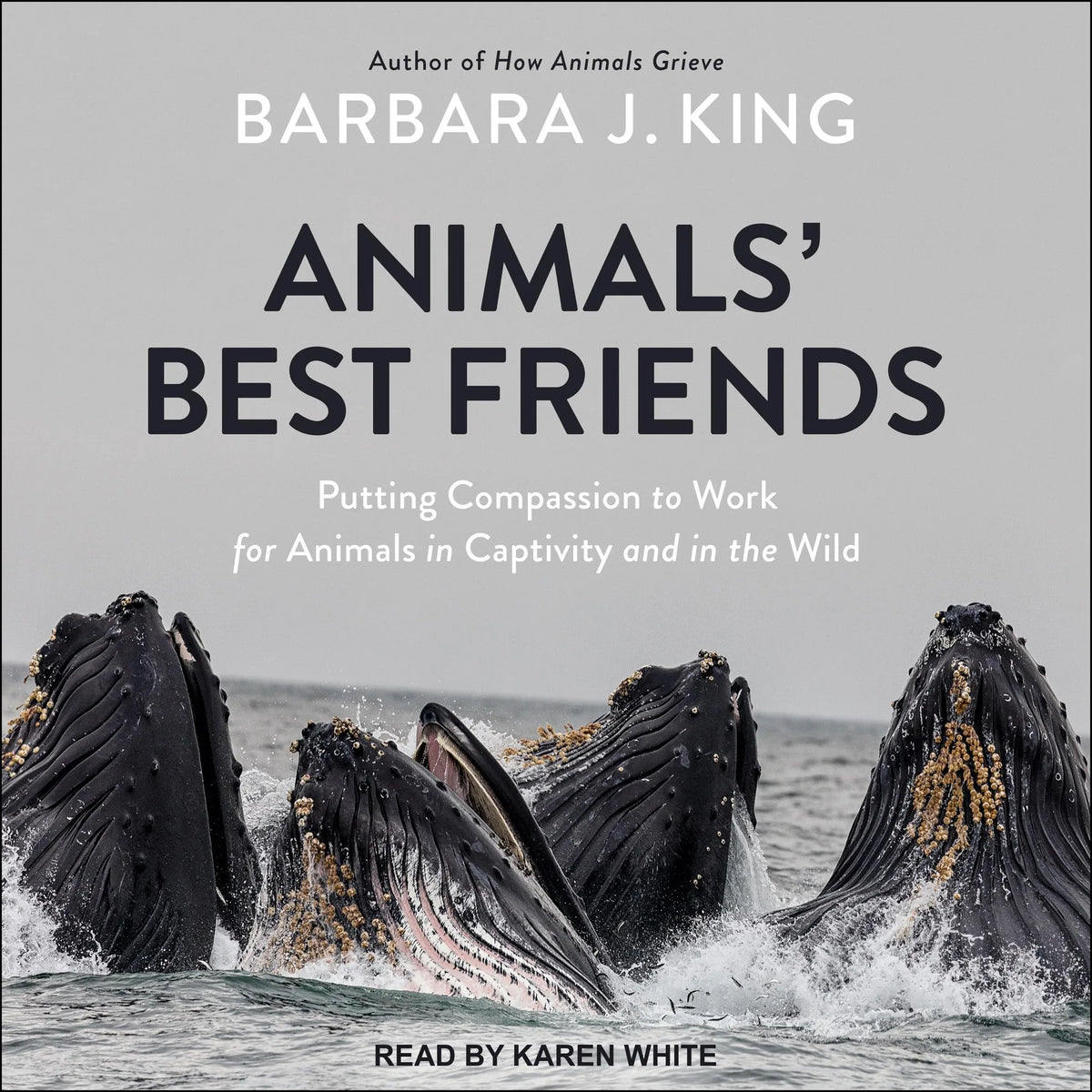 Animals' Best Friends