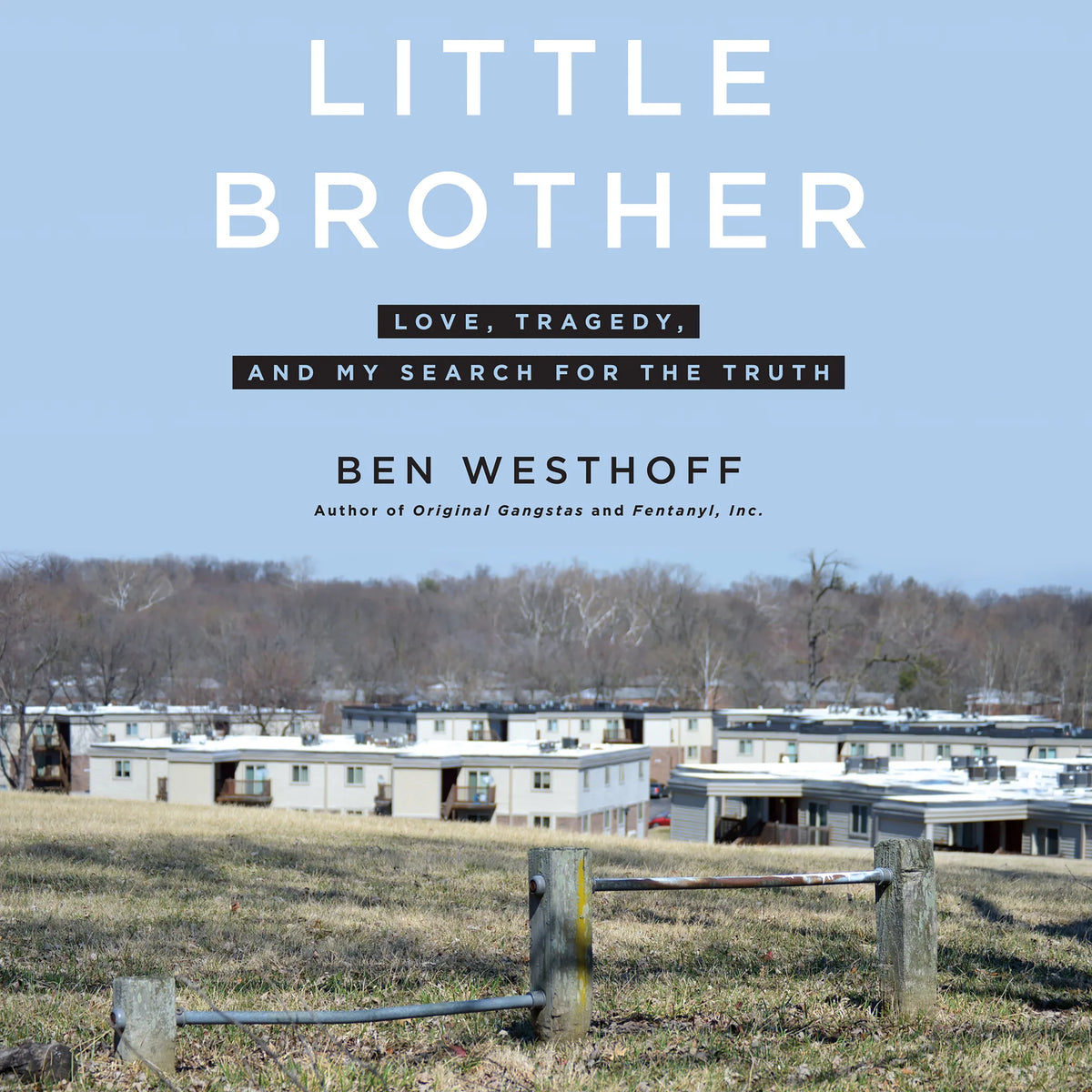 Little Brother