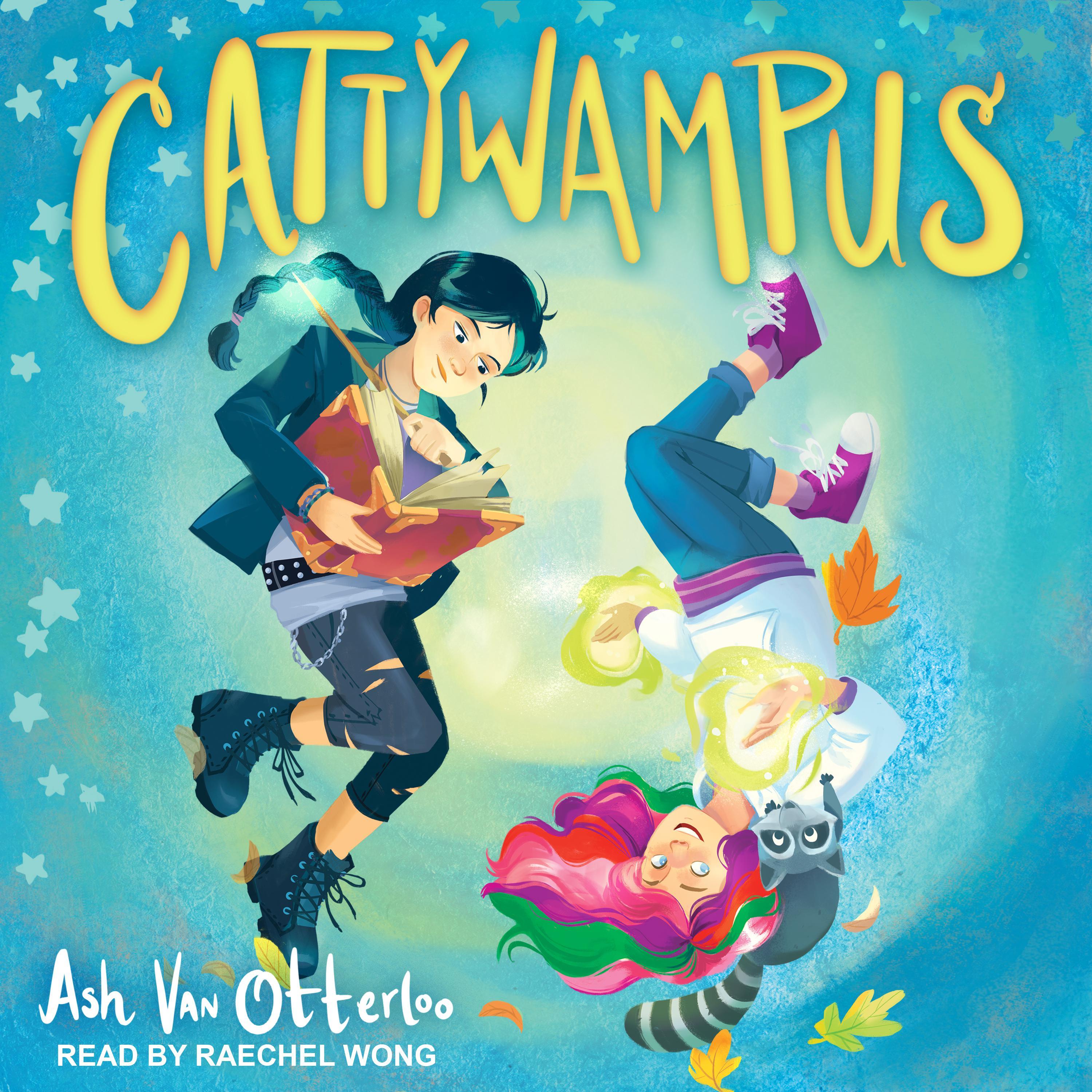 Cattywampus