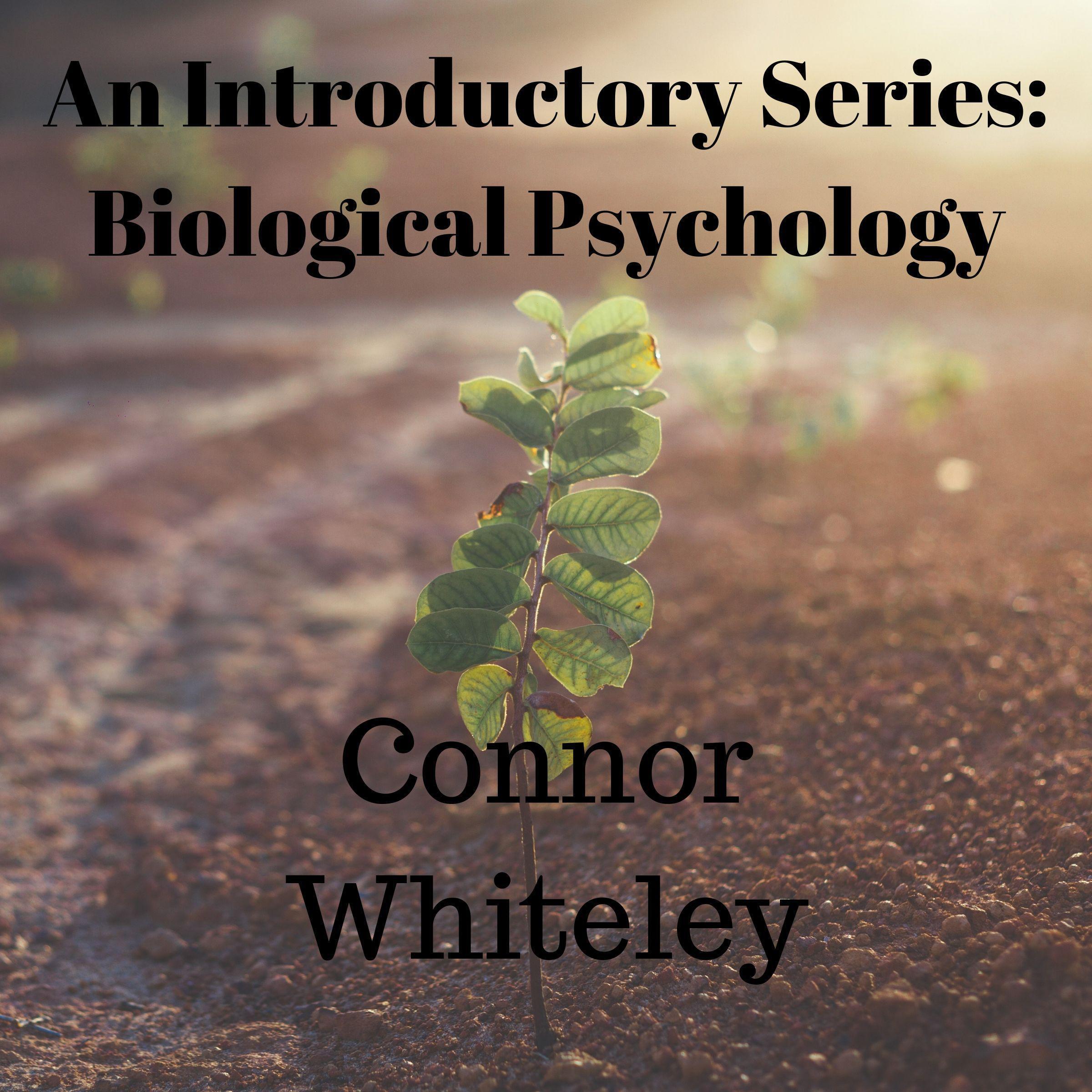 The Biological Approach to Behaviour