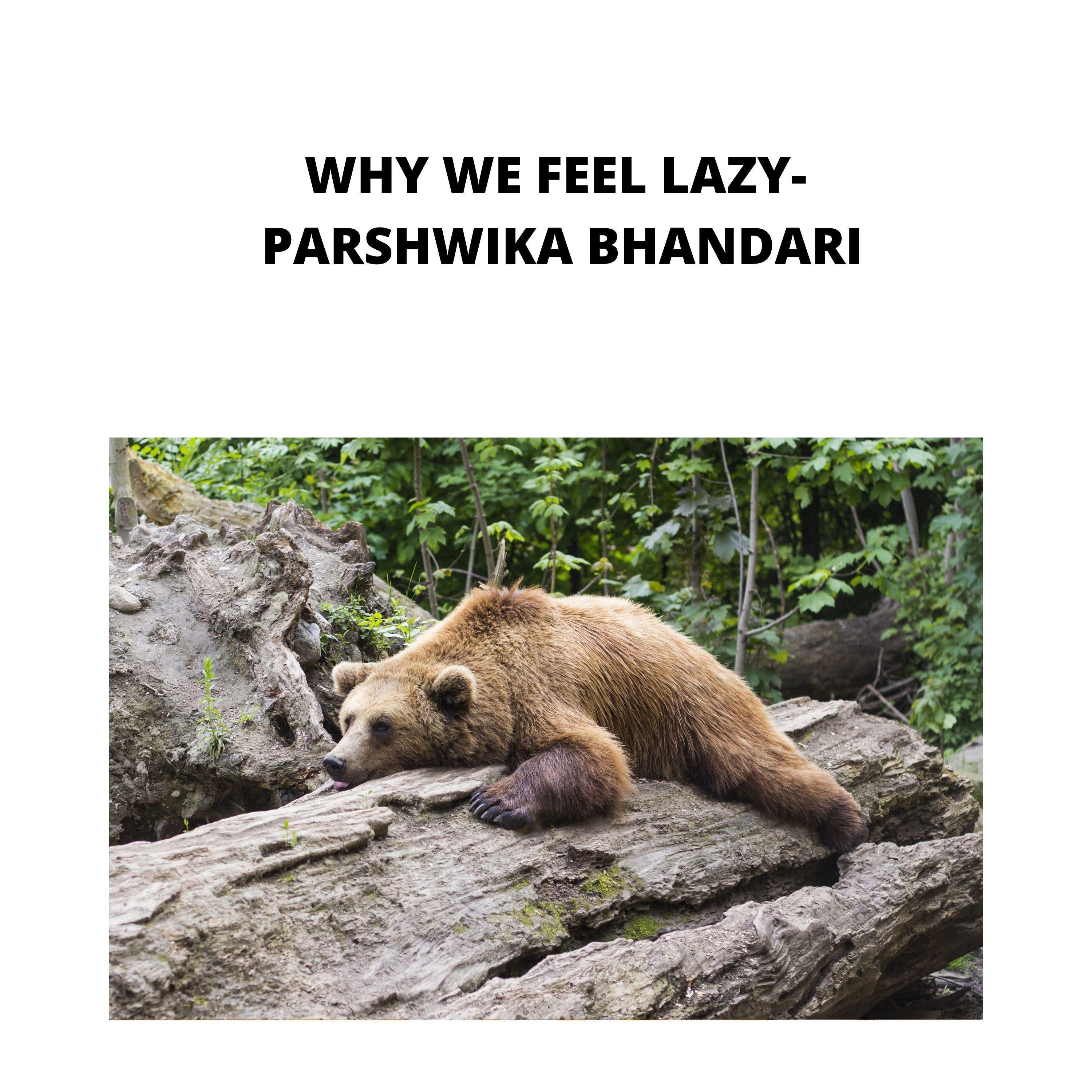 WHY WE FEEL LAZY