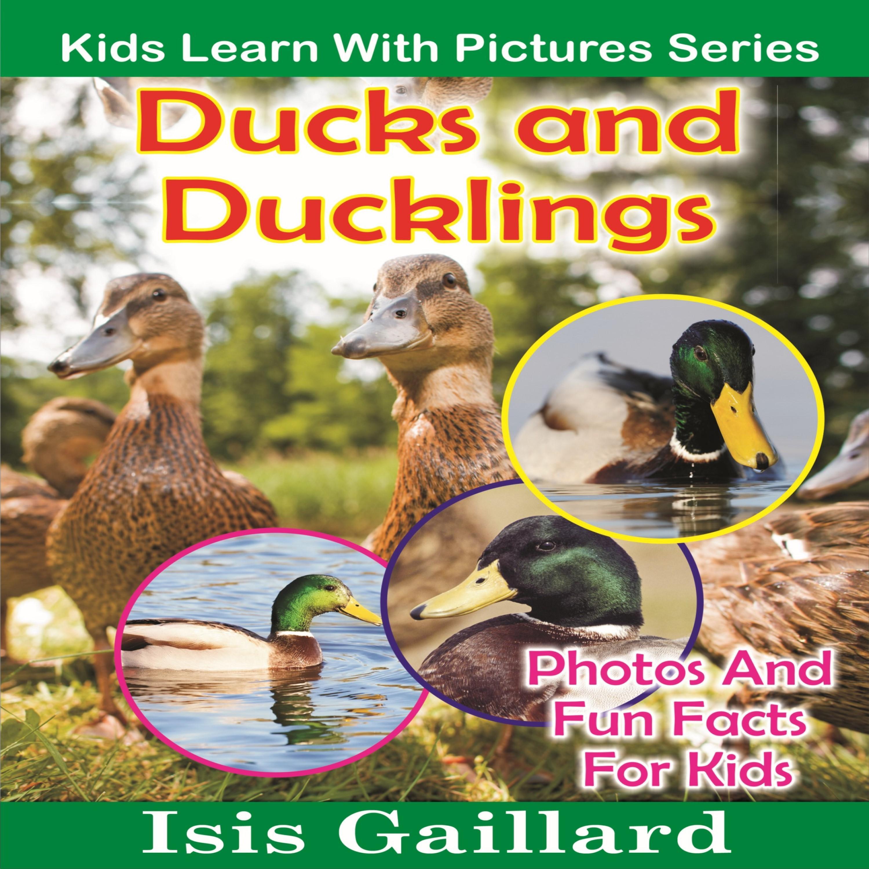 Ducks and Ducklings